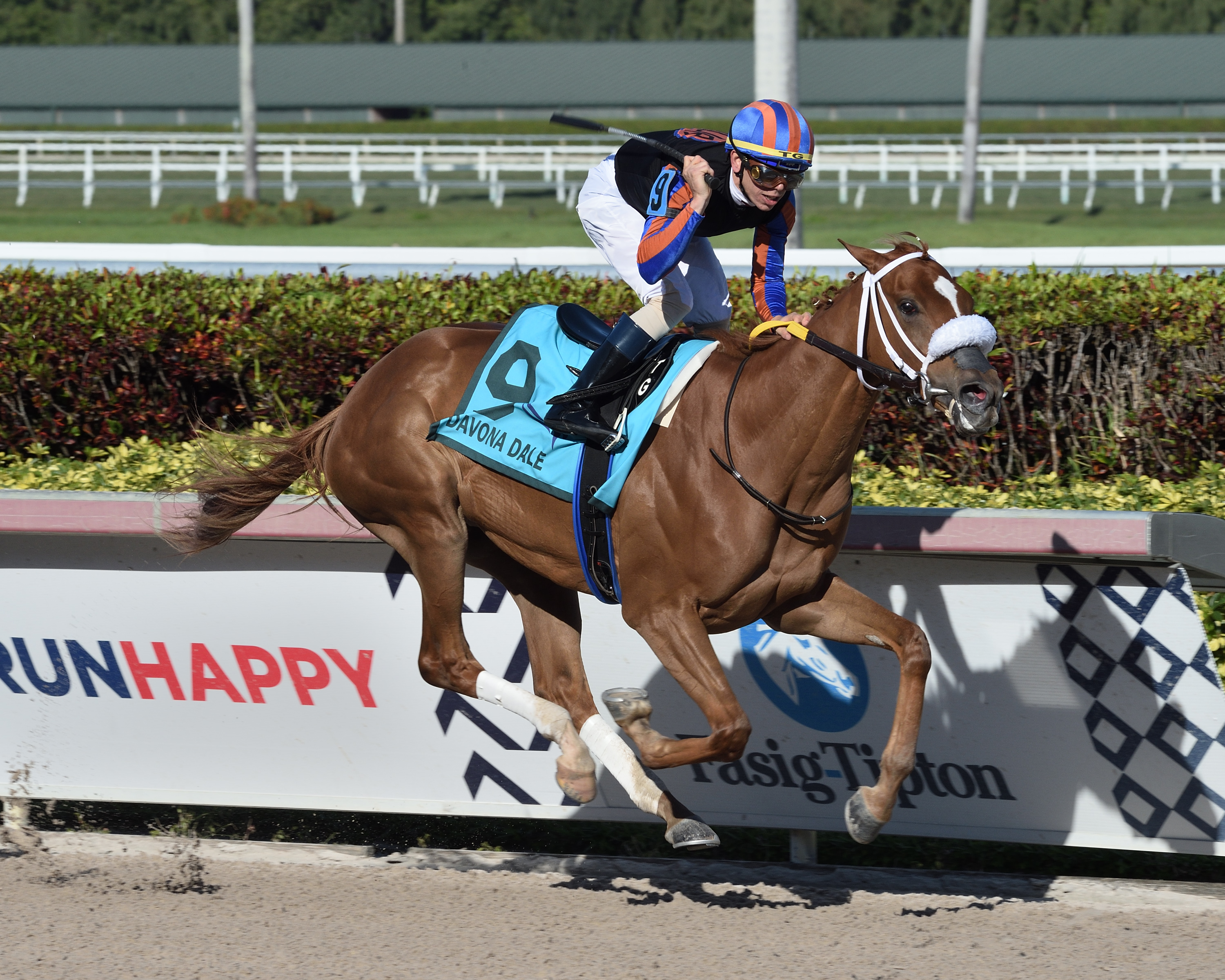 Tonalists Shape wins the 2020 Davona Dale Stakes