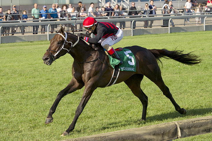 Tone Broke wins the 2019 Breeder's Stakes at Woodbine