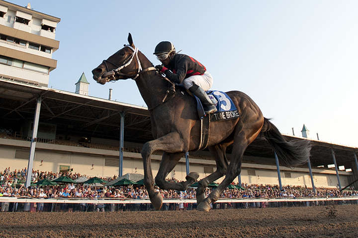 Tone Broke wins the 2019 Prince of Wales at Fort Erie
