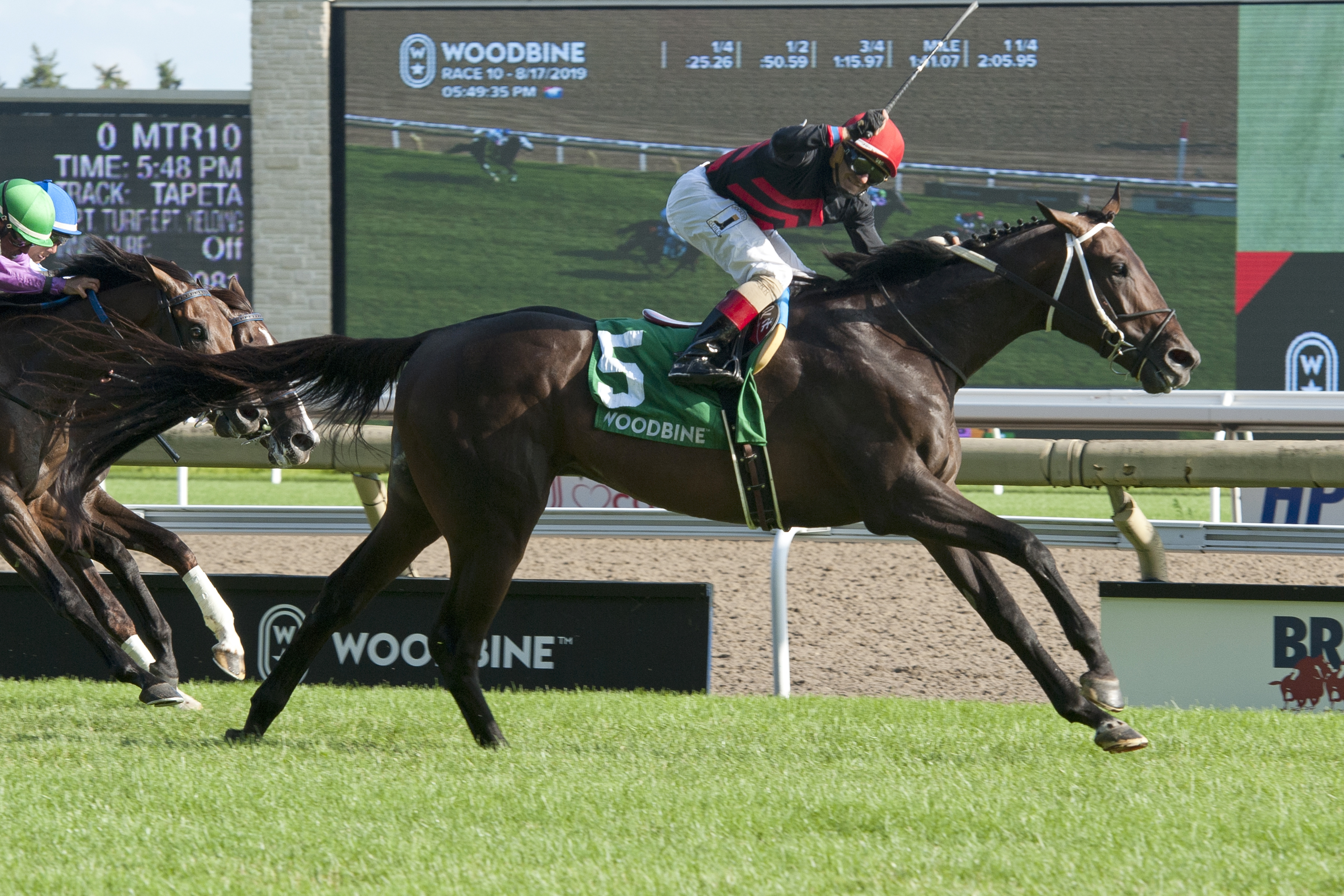 Tone Broke wins the 2019 Breeders' Stakes