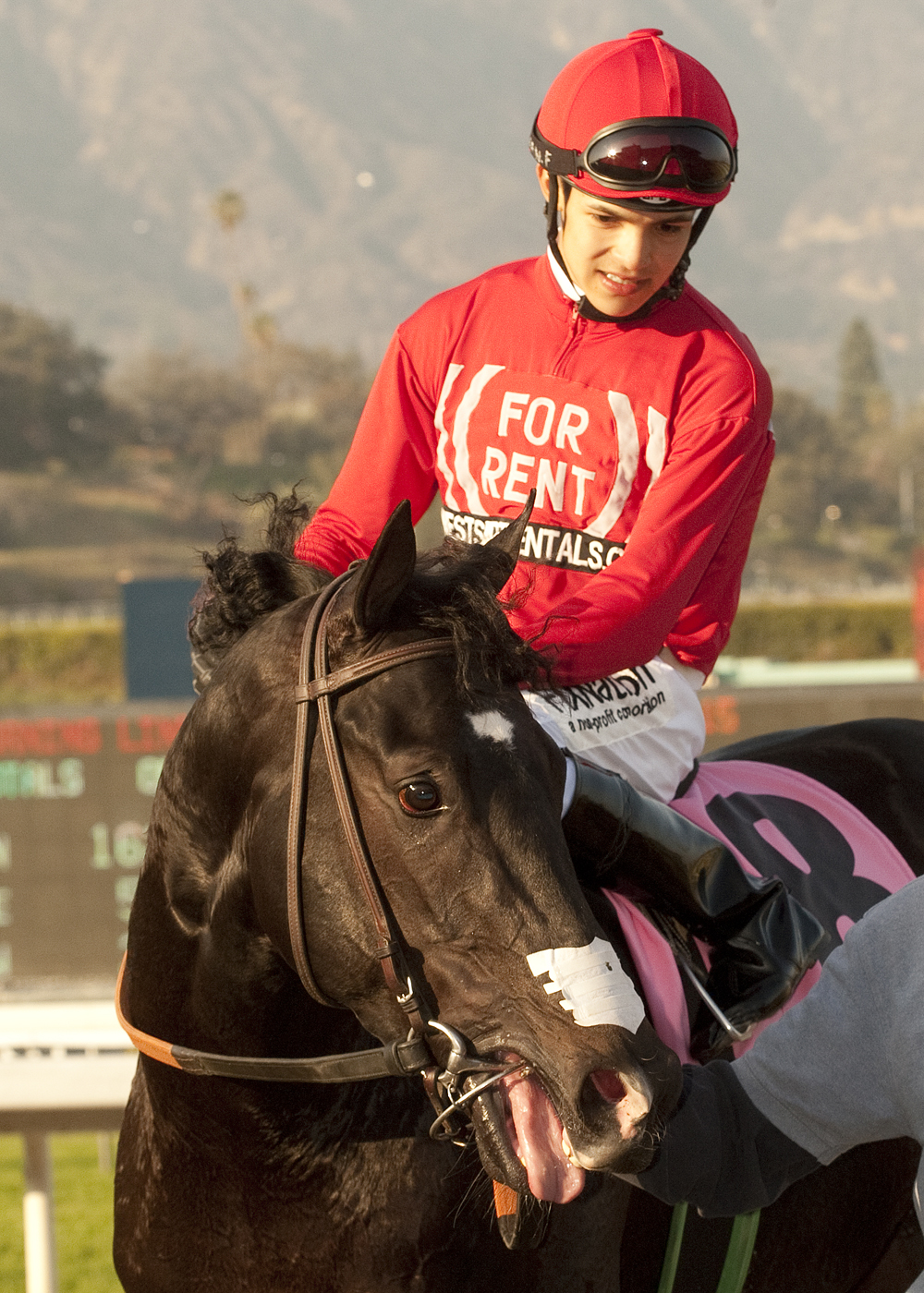 Eswan Flores/Tones/Baffle Stakes