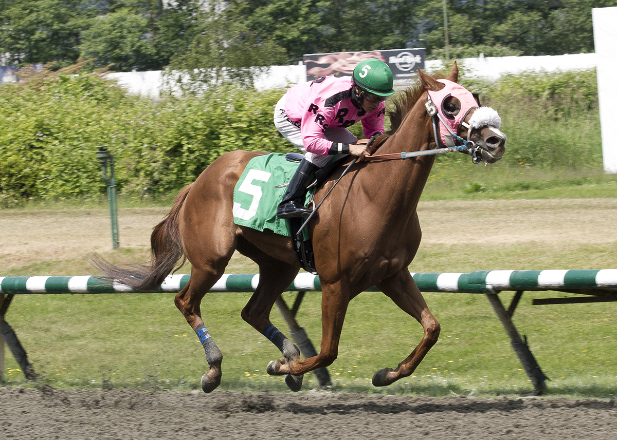 Toni Ann-s Miracle wins the 2018 Emerald Downs Stakes