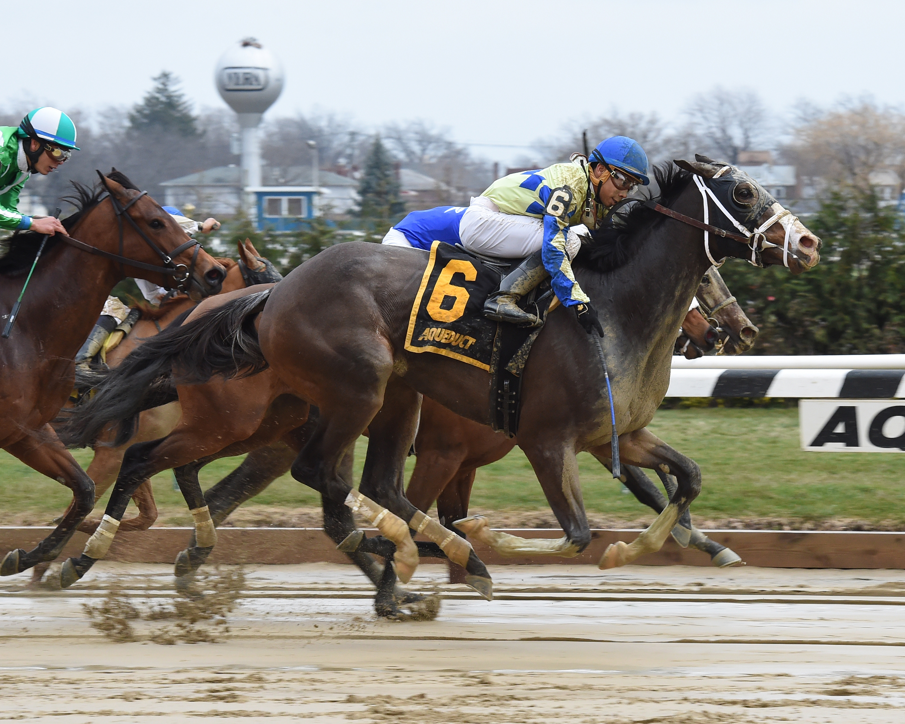 Toni Tools wins the Fifth Avenue Stakes