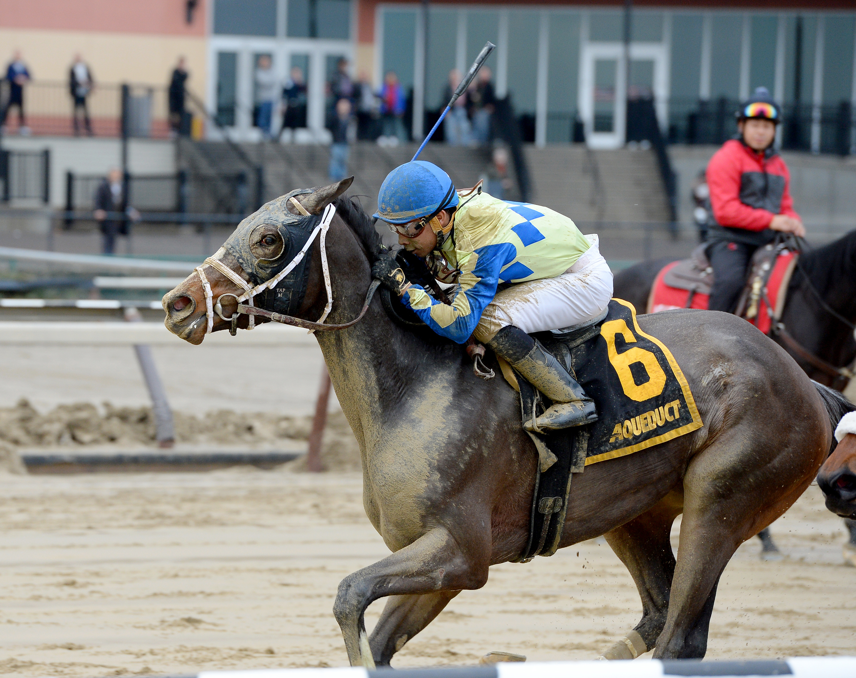 Toni Tools wins the Fifth Avenue Stakes