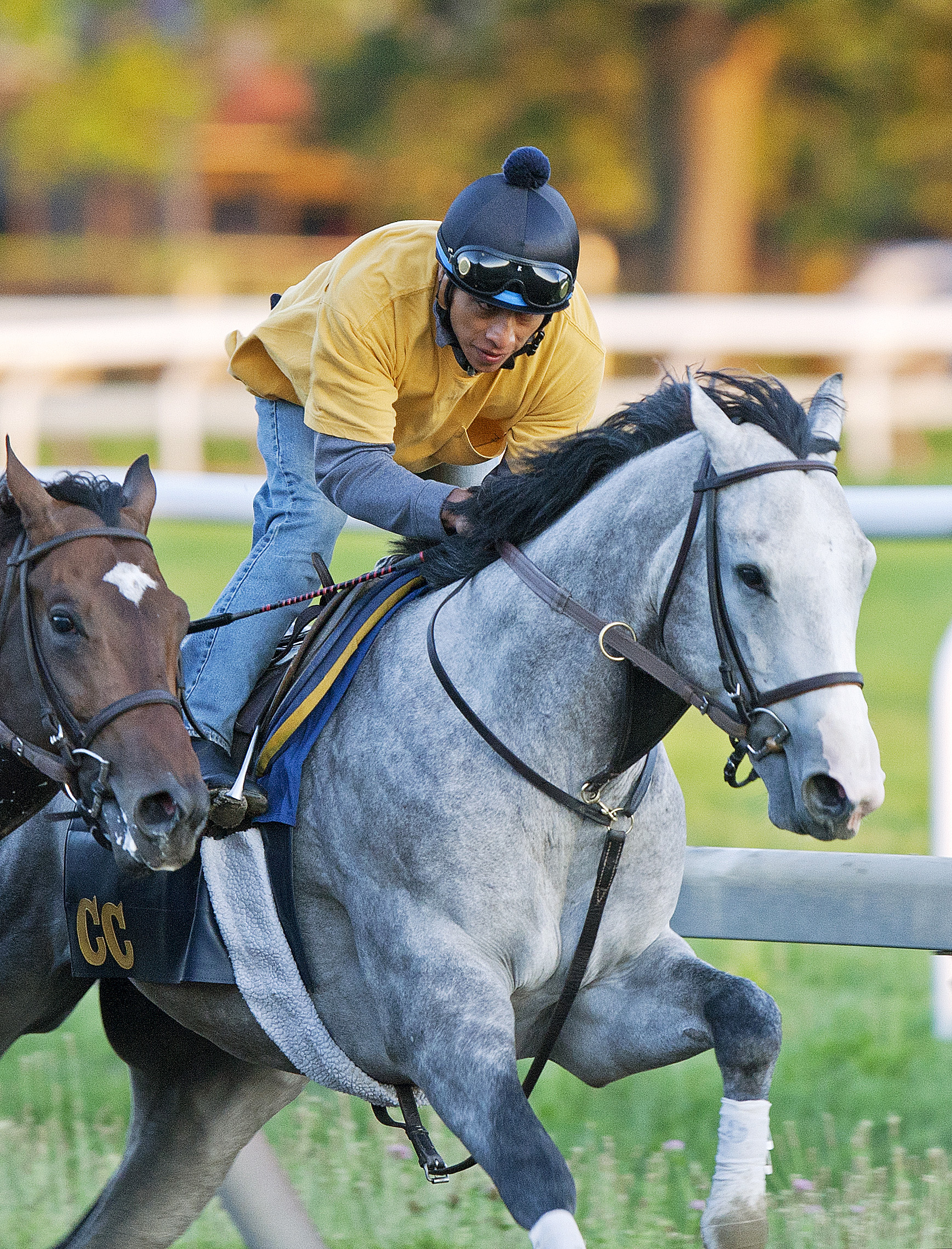 Too Discreet trains at Saratoga on Aug. 13