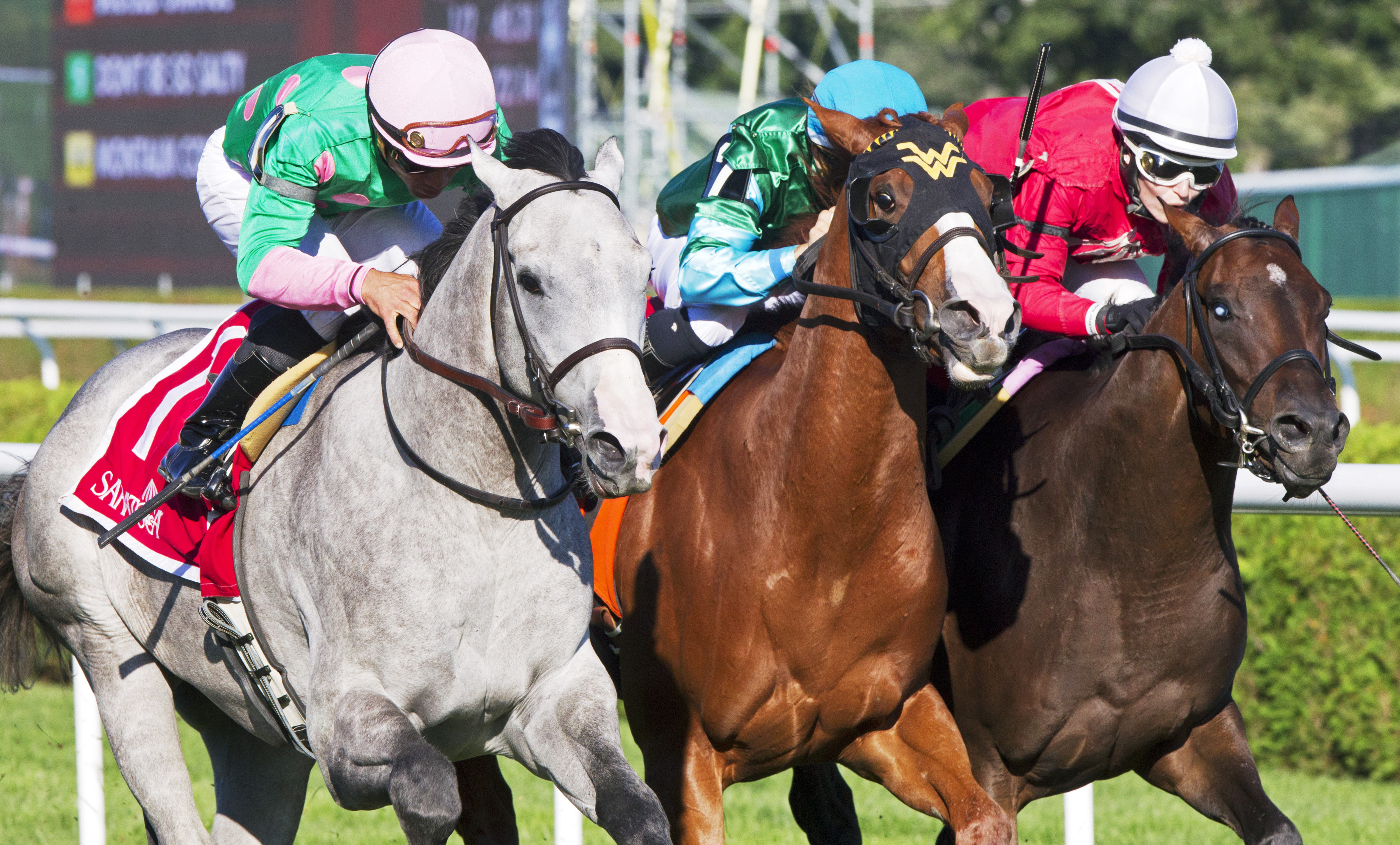 Too Discreet wins the Schenectady