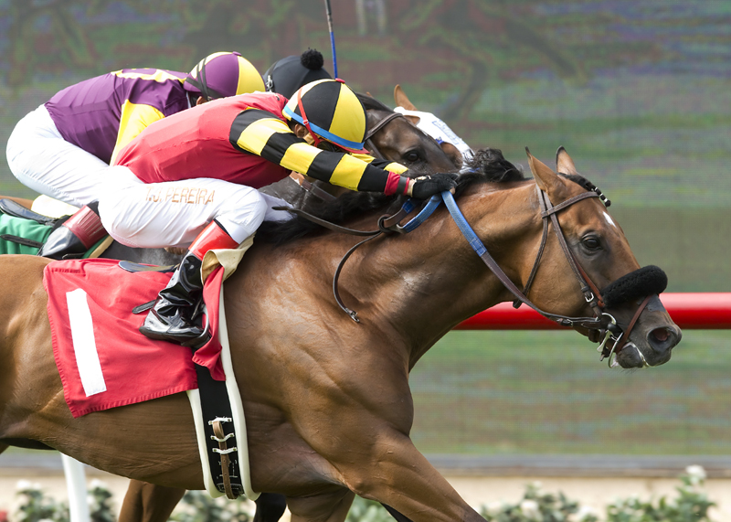 Toowindytohaulrox 7-16-2016