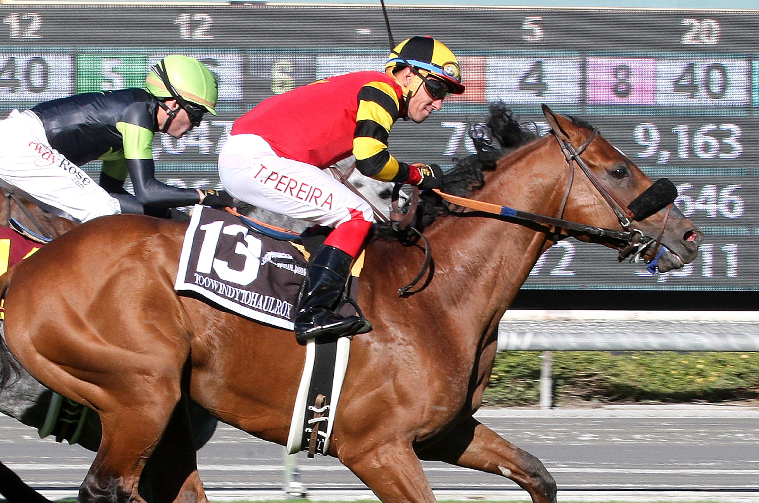 Toowindytohaulrox wins the Daytona Stakes