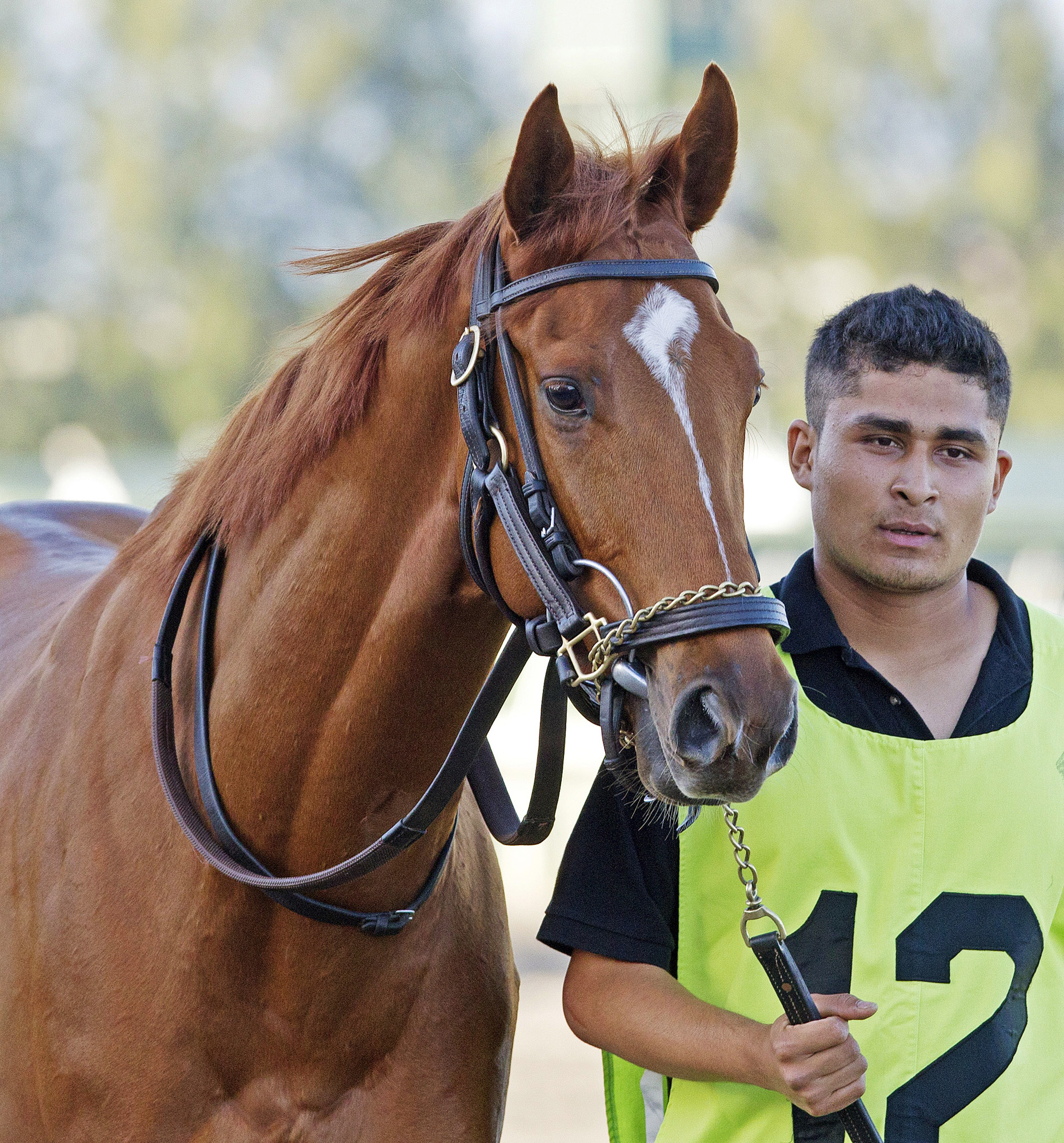 Top Billing at Gulfstream Park in 2014