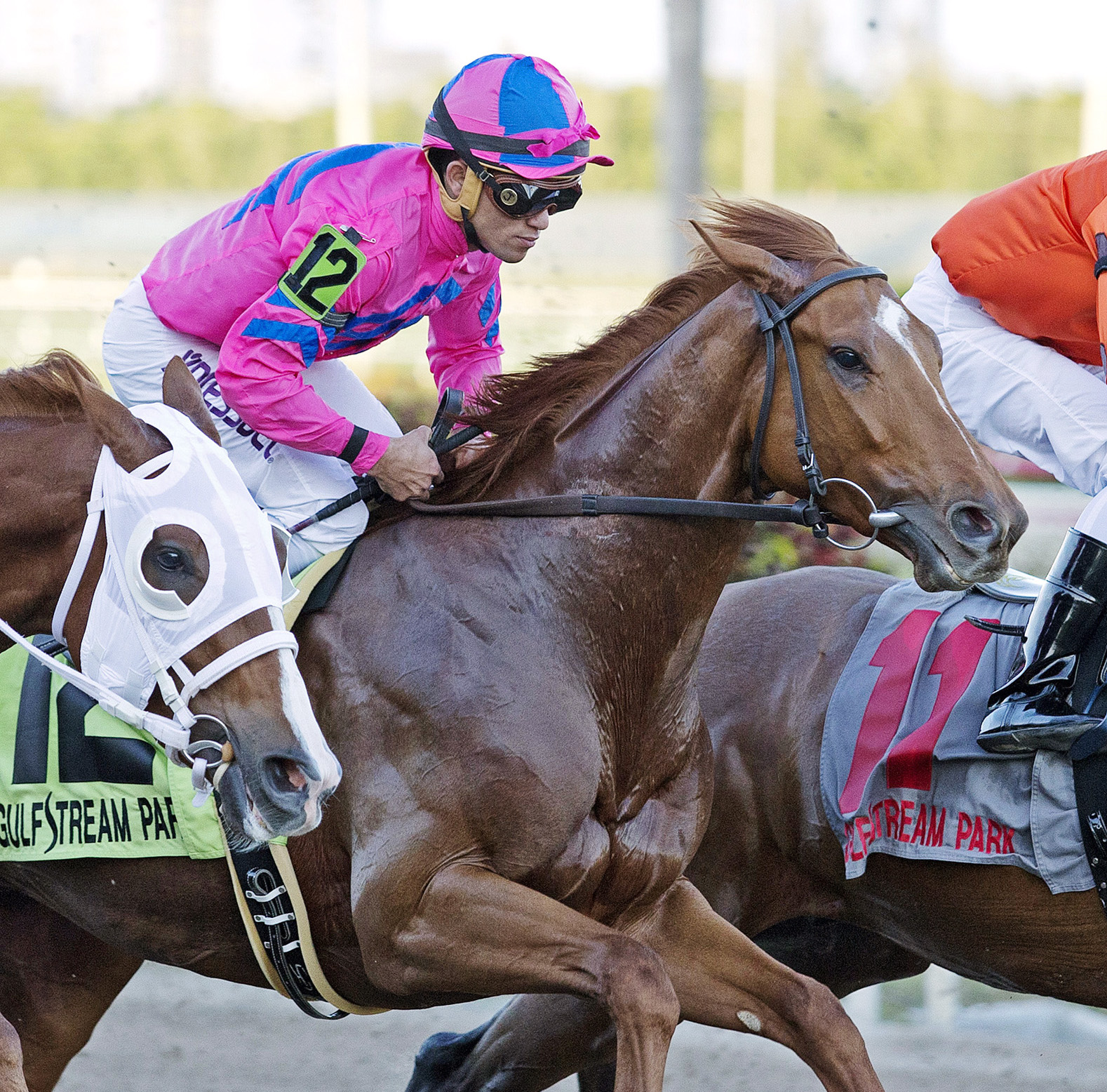 Top Billing finishes third in the Fountain of Youth