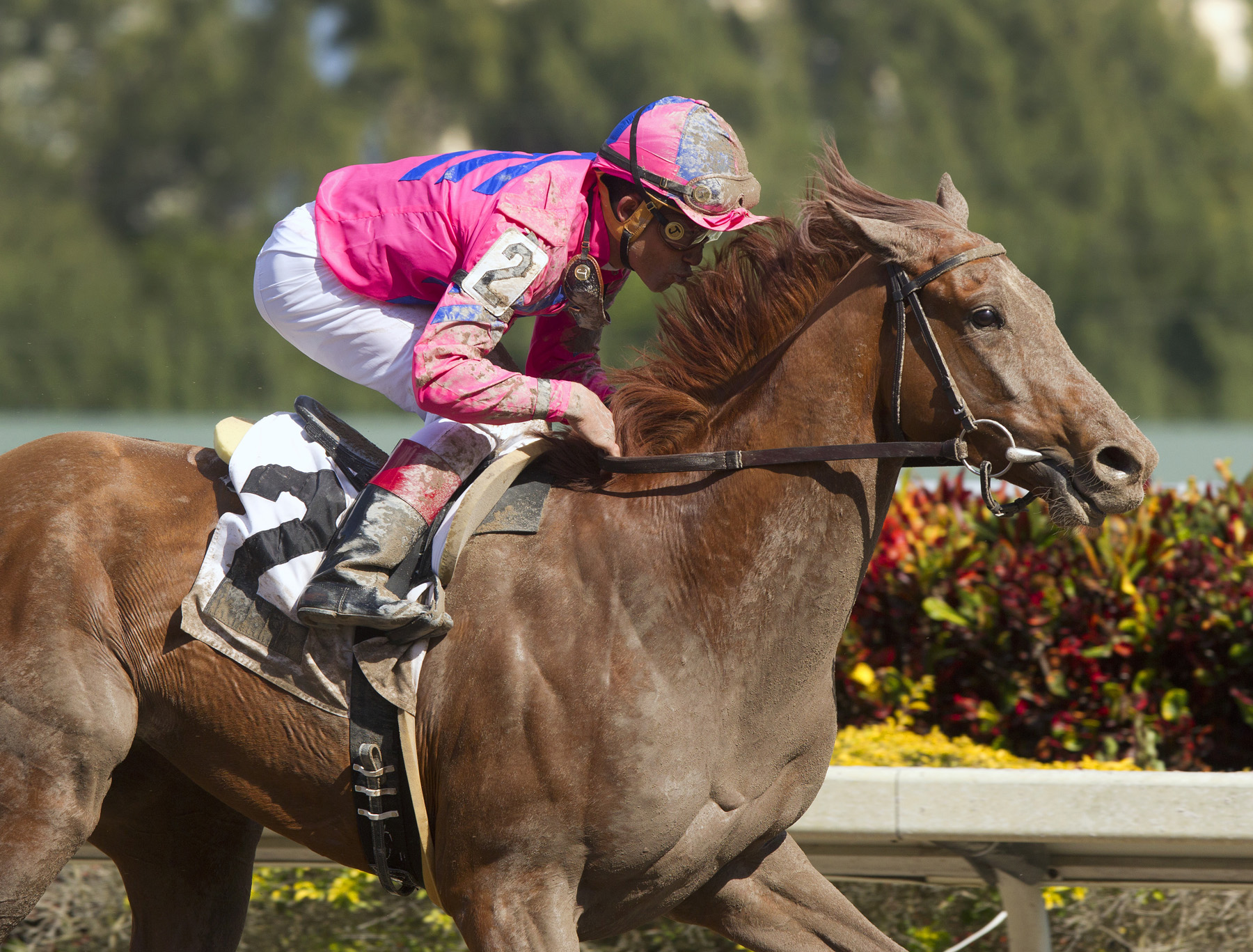 Top Billing injured in workout, will miss Kentucky Derby