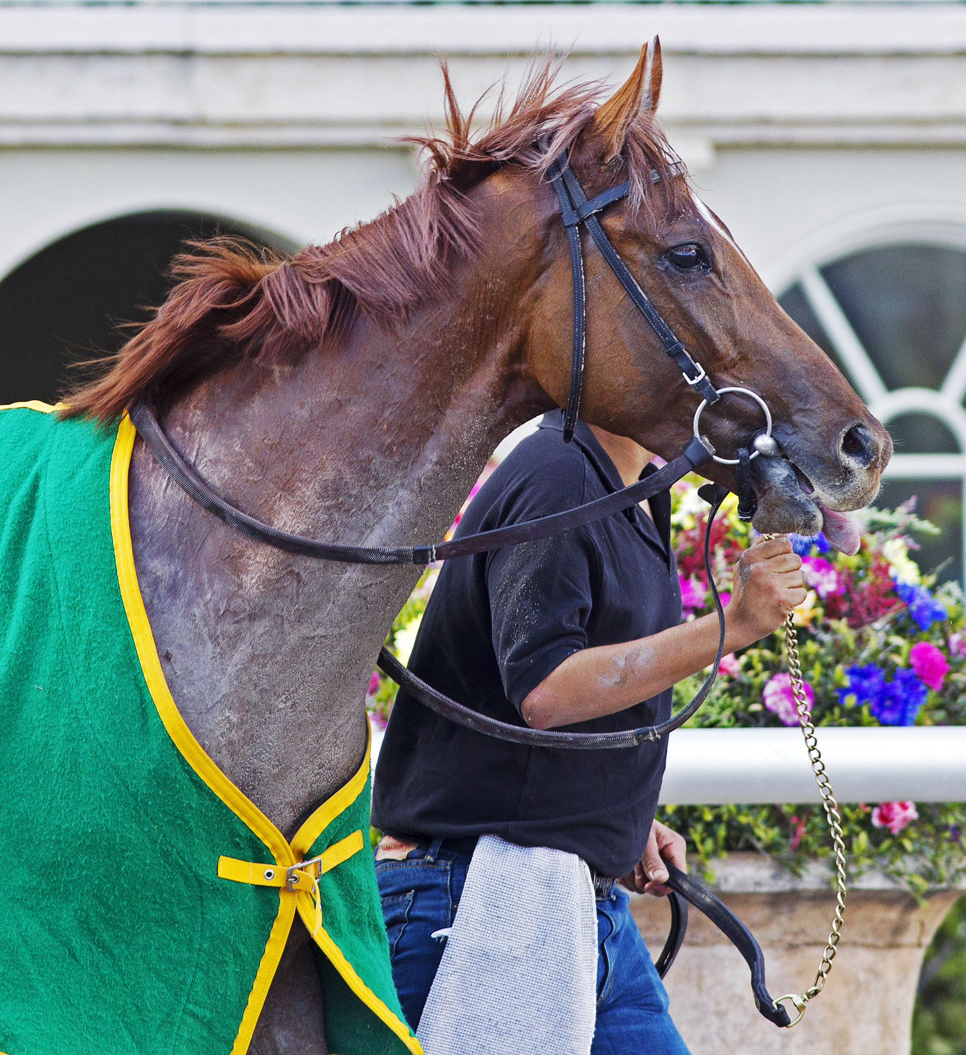 Top Billing at Gulfstream Park in 2014