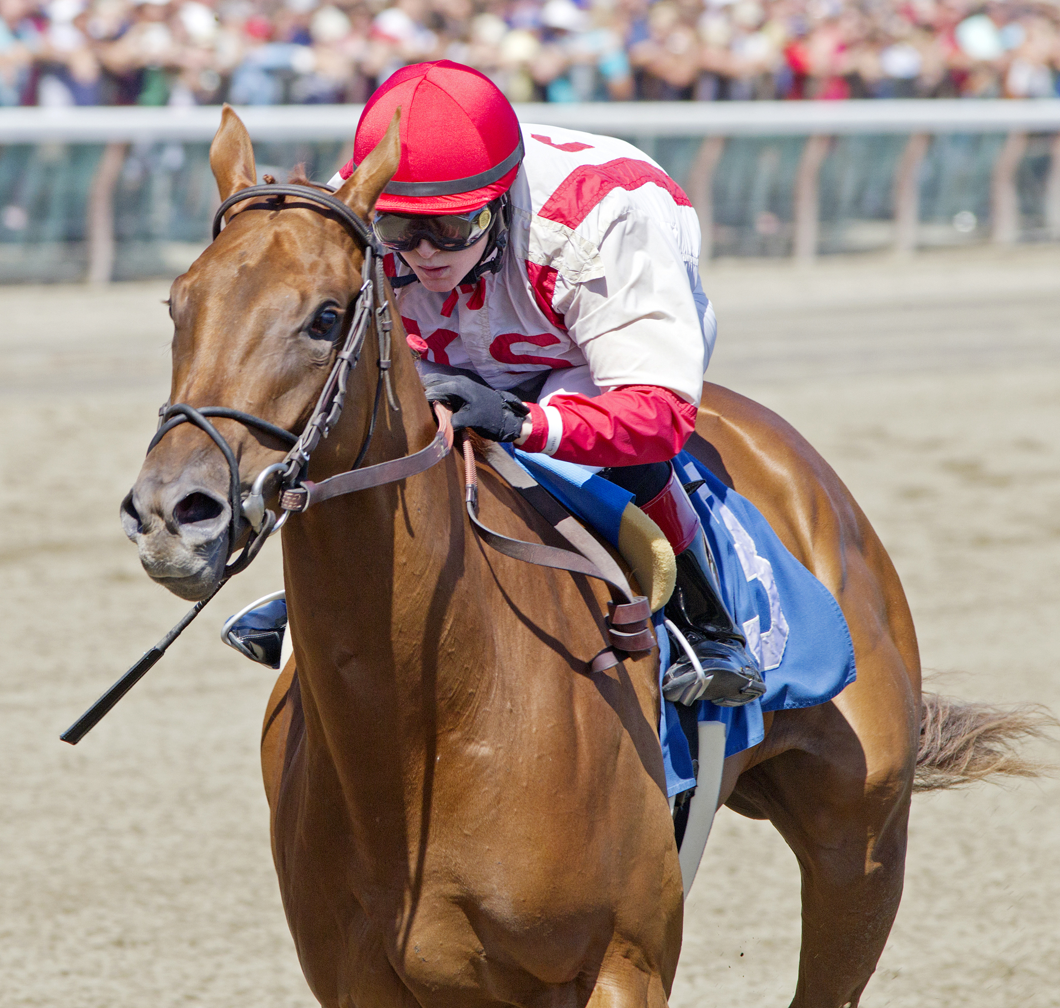 Top Decile wins a maiden race
