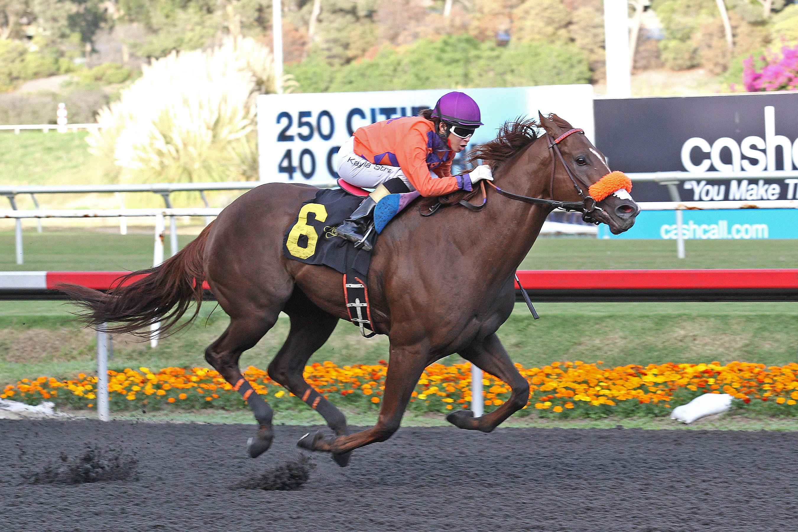 Top Fortitude wins a maiden race