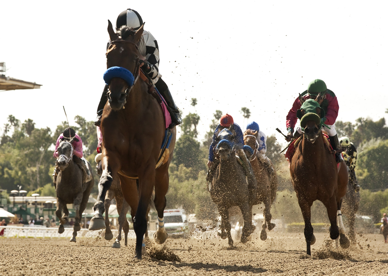 Top Kisser wins 2014 Spring Fever