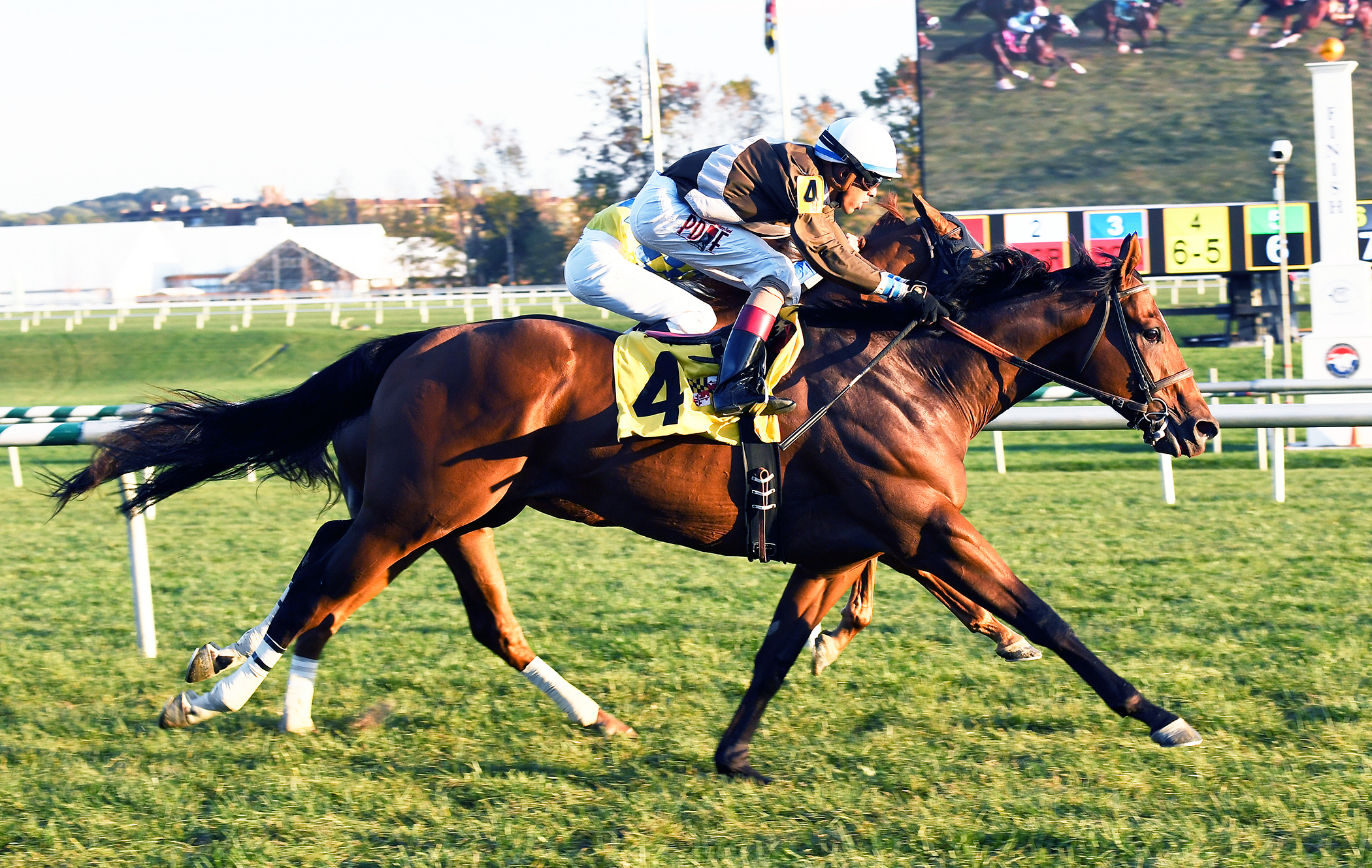 Top of Mind wins an Oct. 29 allowance race