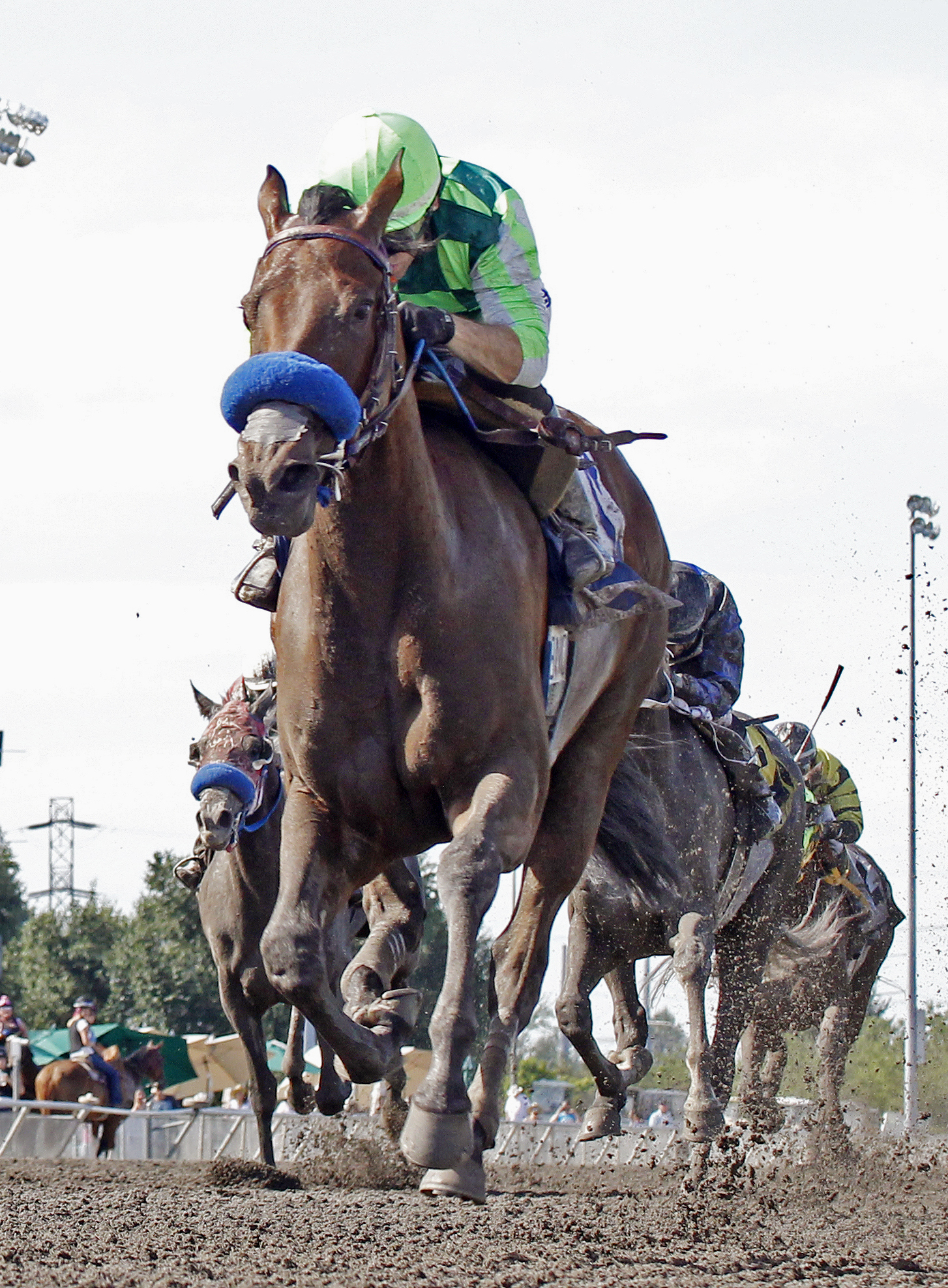 Top Quality wins the Irish Day Stakes