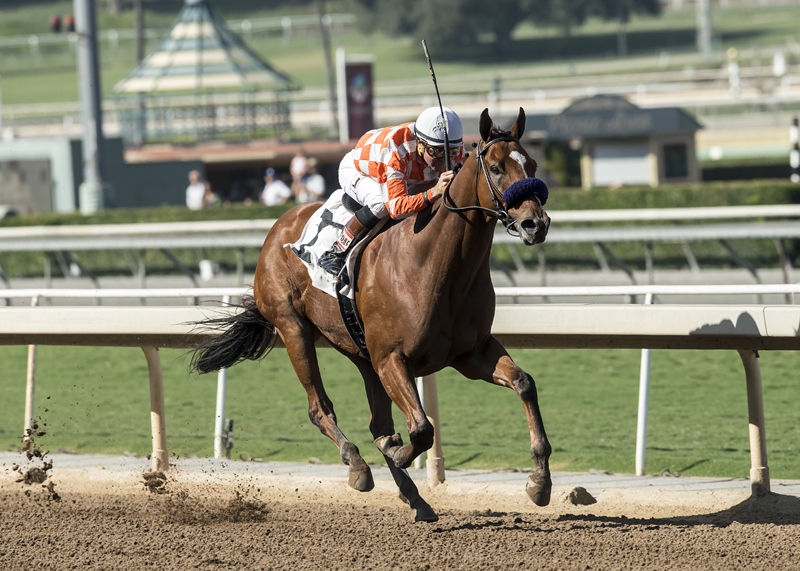 Top of the Game wins the 2017 Comma to the Top Stakes