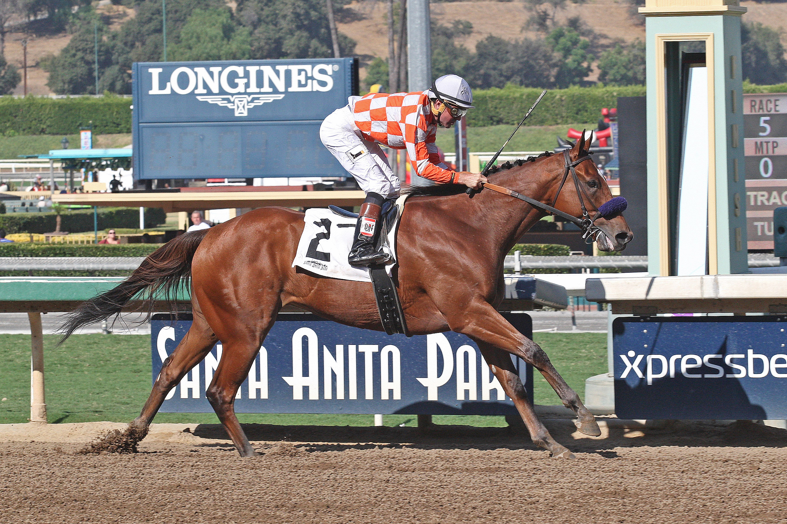 Top of the Game wins the Comma to the Top Stakes