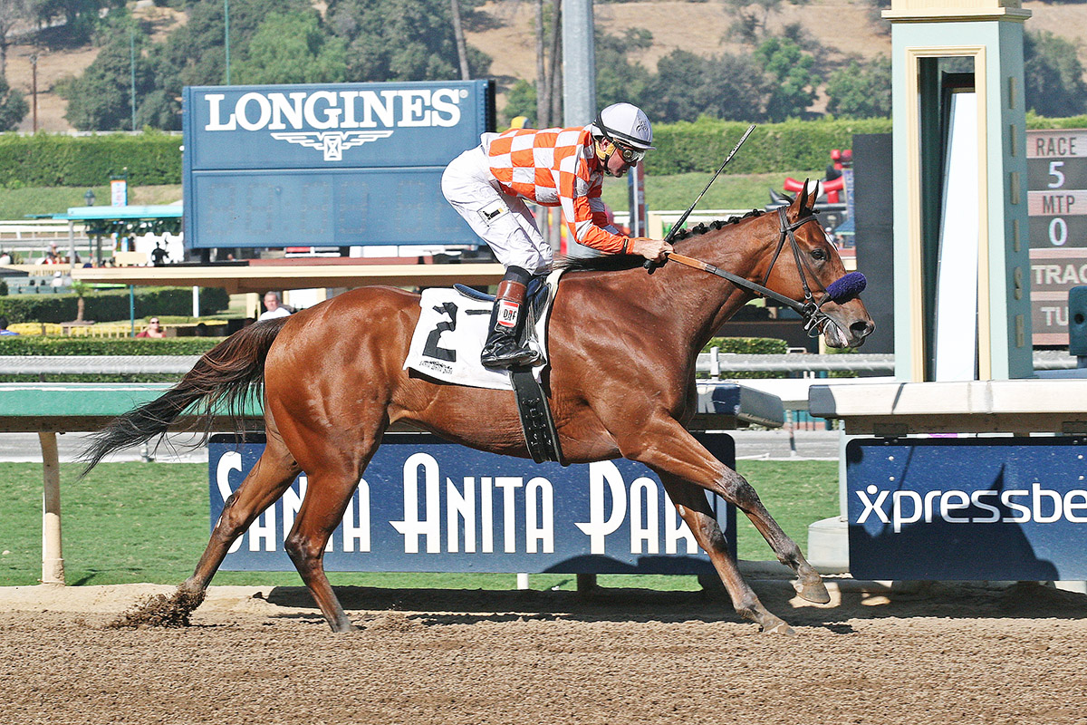 Top of the Game wins the Comma to the Top Stakes