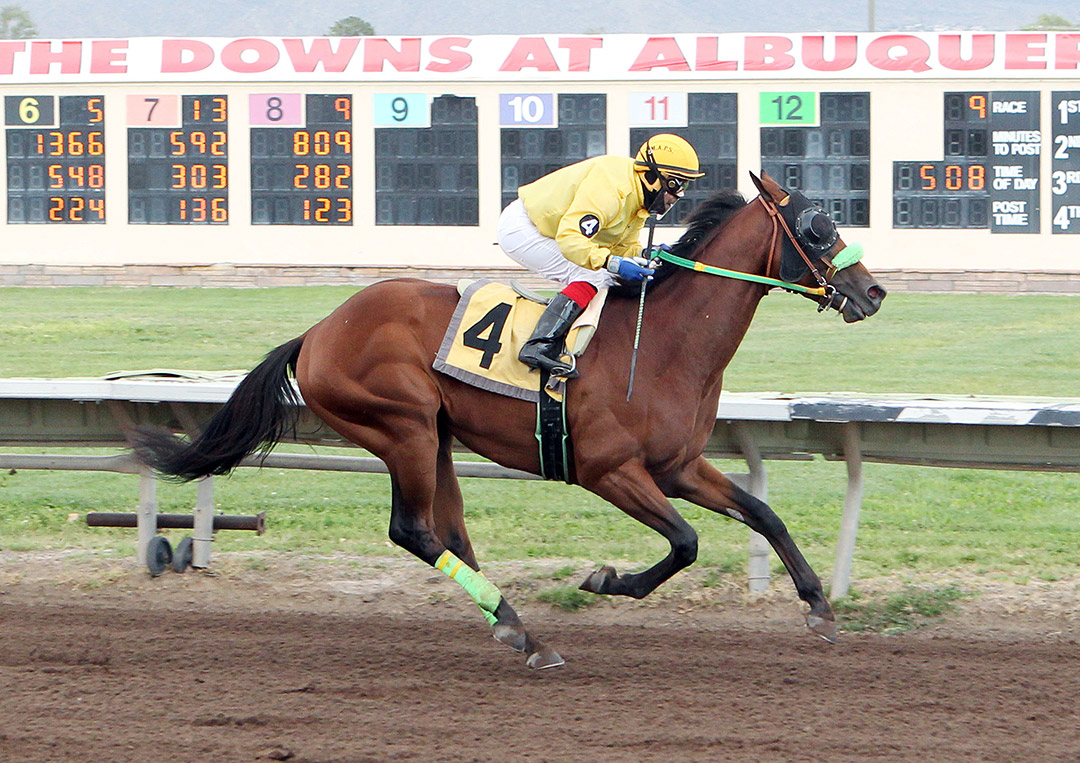 Top Draw wins the 2020 Charles Taylor Derby at Albuquerque Downs