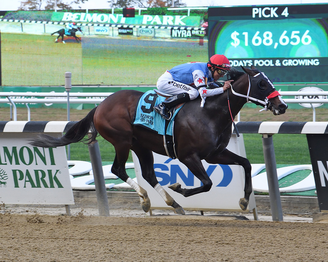 Top Gun Tommy give Jose Gomez his first career win in an Oct. 28 allowance at Belmont Park