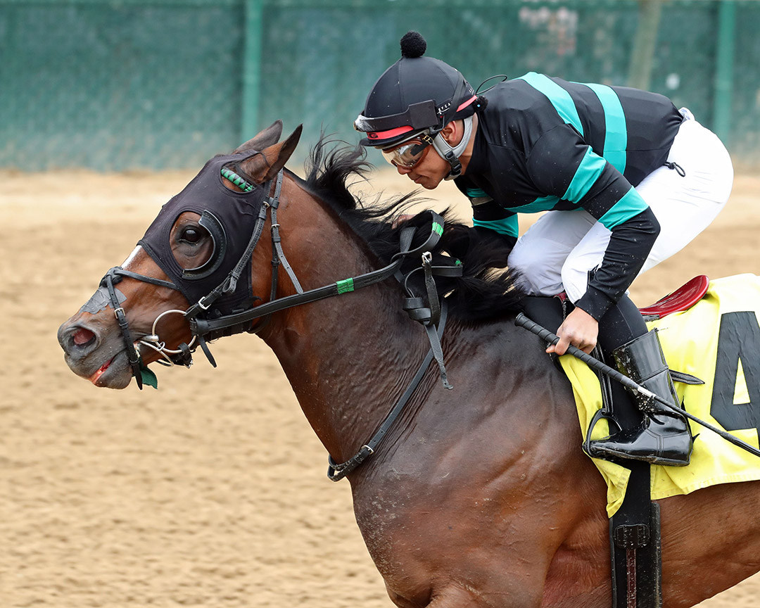 Top Gunner wins the 2022 St. Matthews Stakes at Churchill Downs