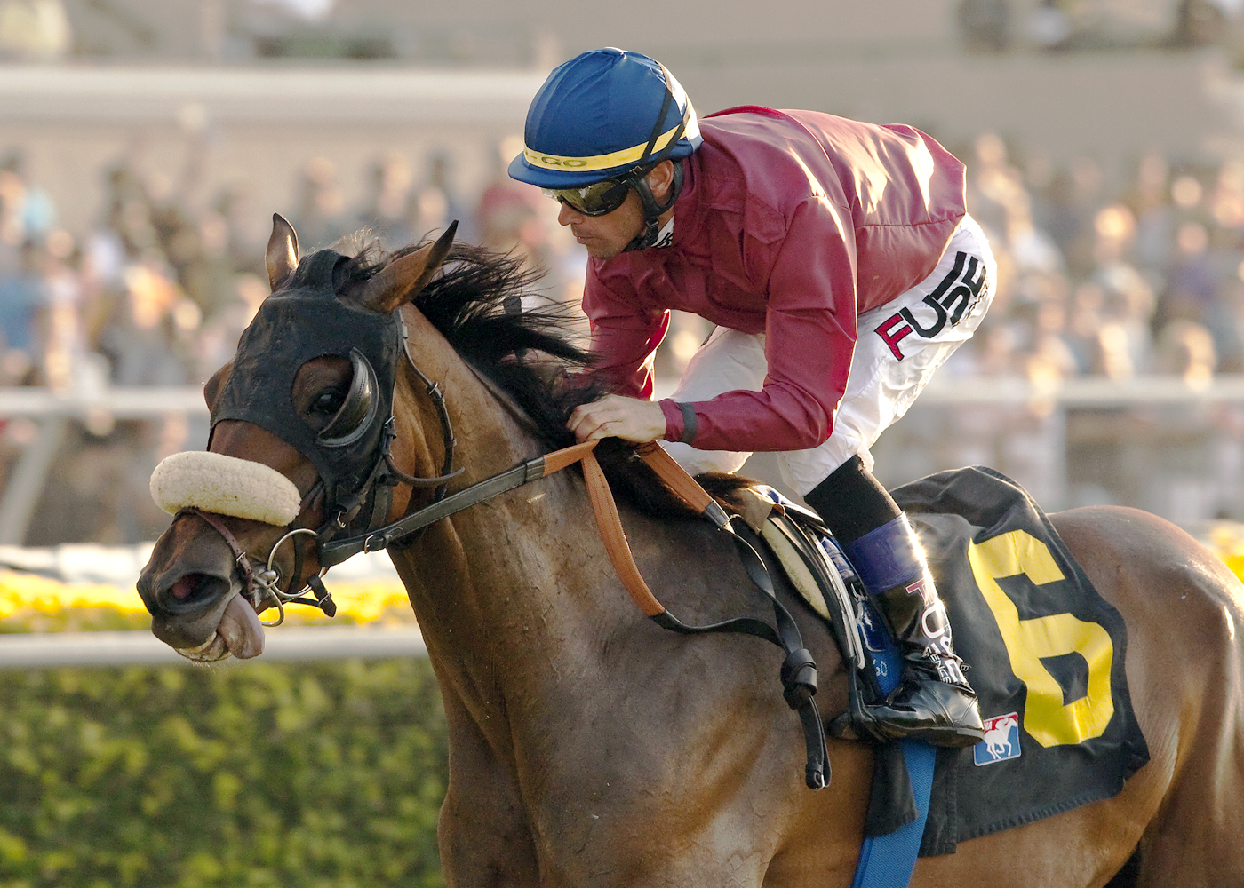 Topic, CTT and T.O.C. Handicap