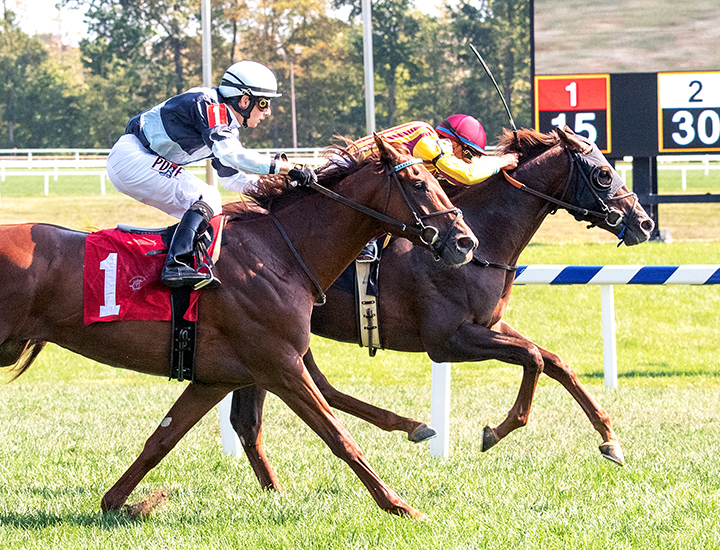 Torres del Paine (left) finishes second in the Laurel Futurity at Laurel Park