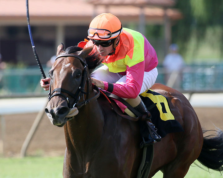 Totally Boss wins the Kentucky Downs Preview Turf Sprint at Kentucky Downs