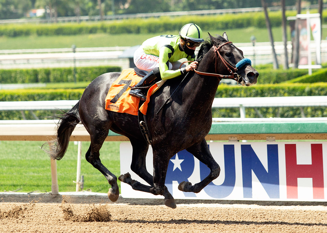 Touchdown Brown wins a June 19 maiden race at Santa Anita