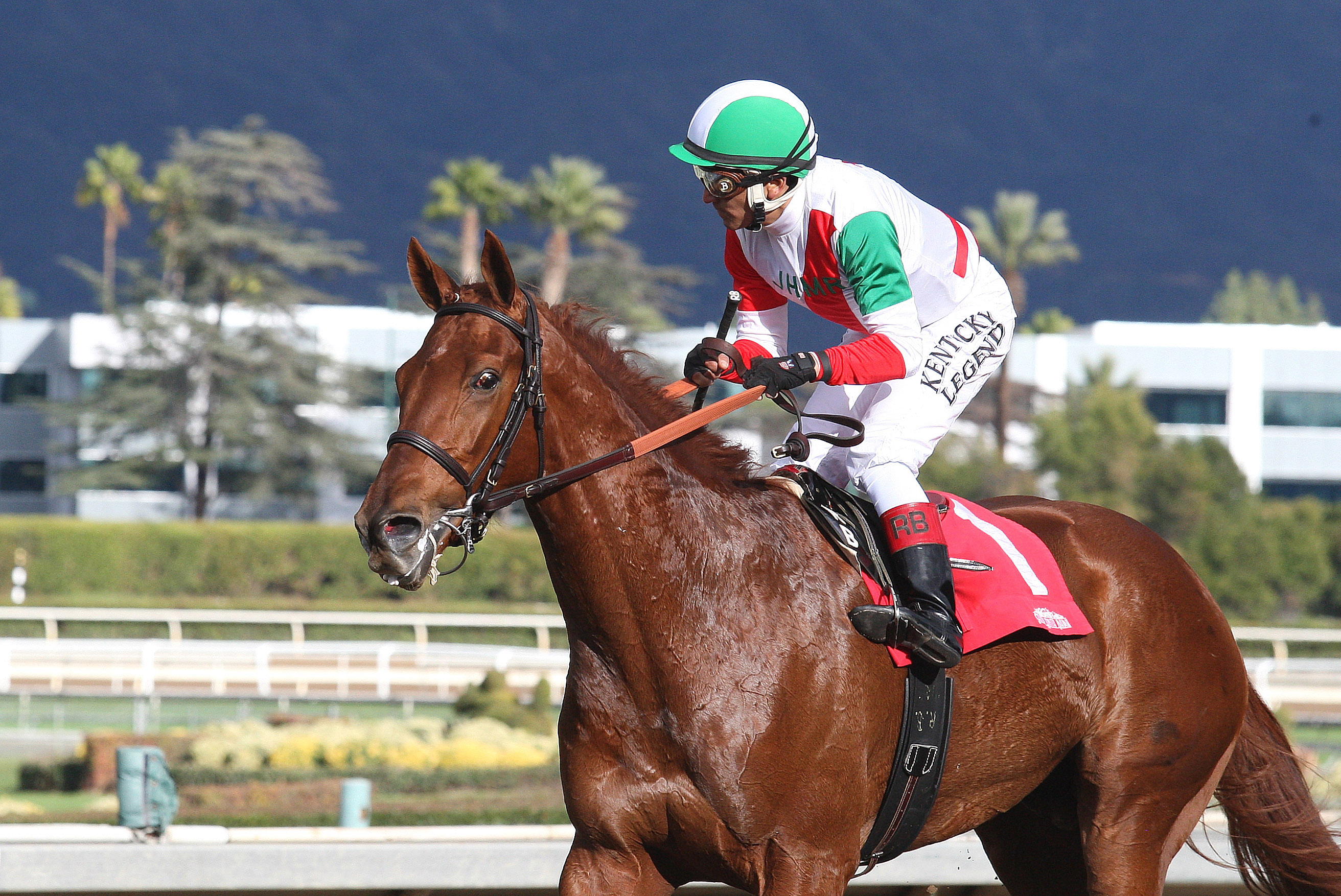 Touched by Autism after winning a maiden race