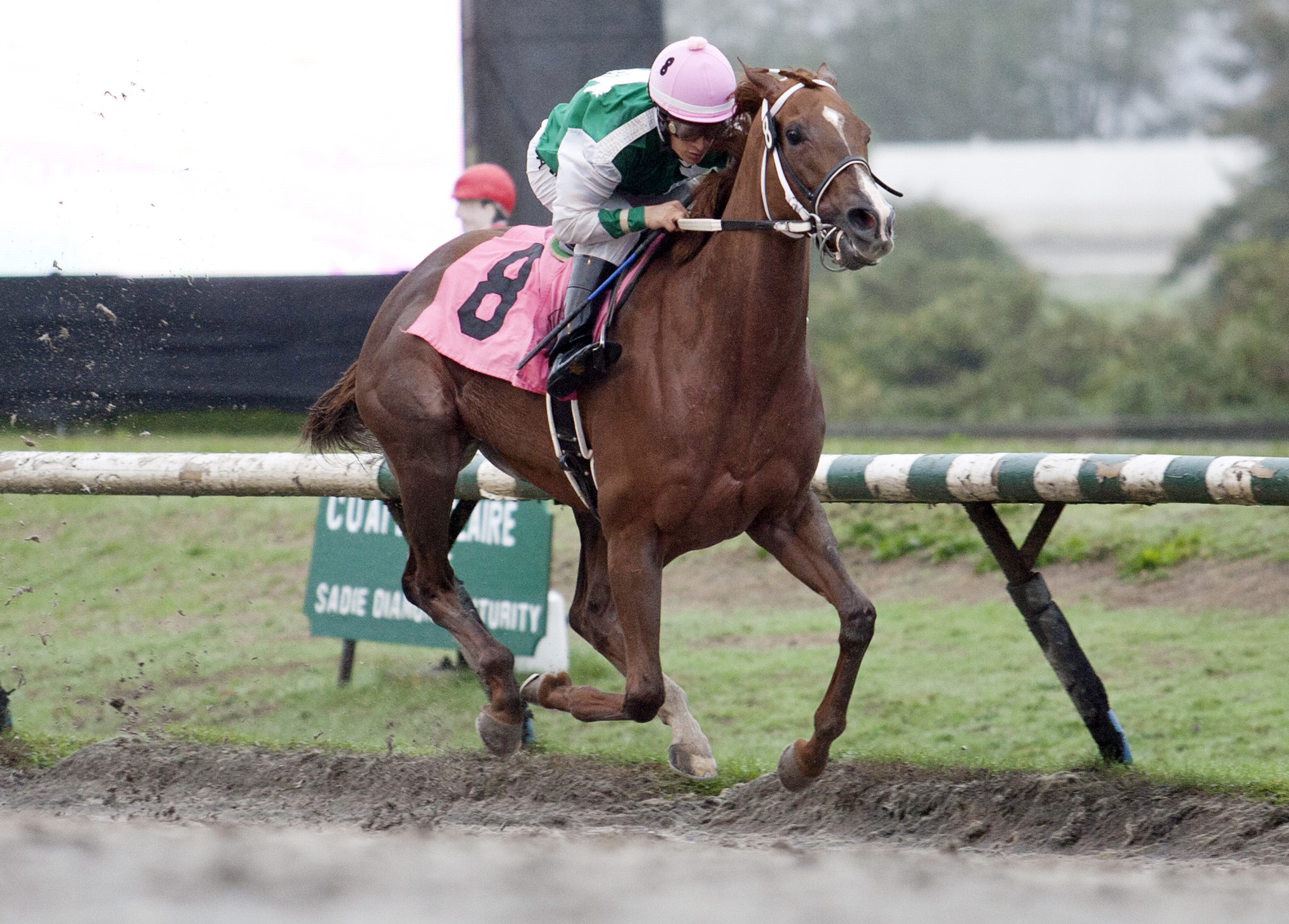 Touching Promise wins the 2015 Ballerina Stakes