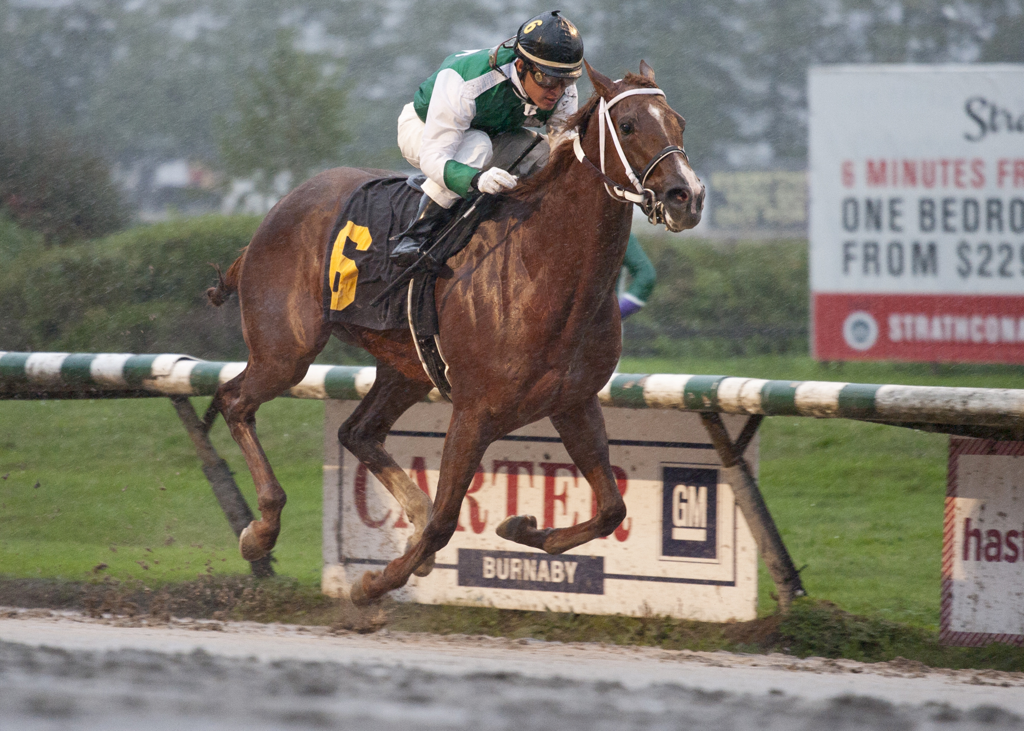 Touching Promise wins the 2014 Ballerina Stakes