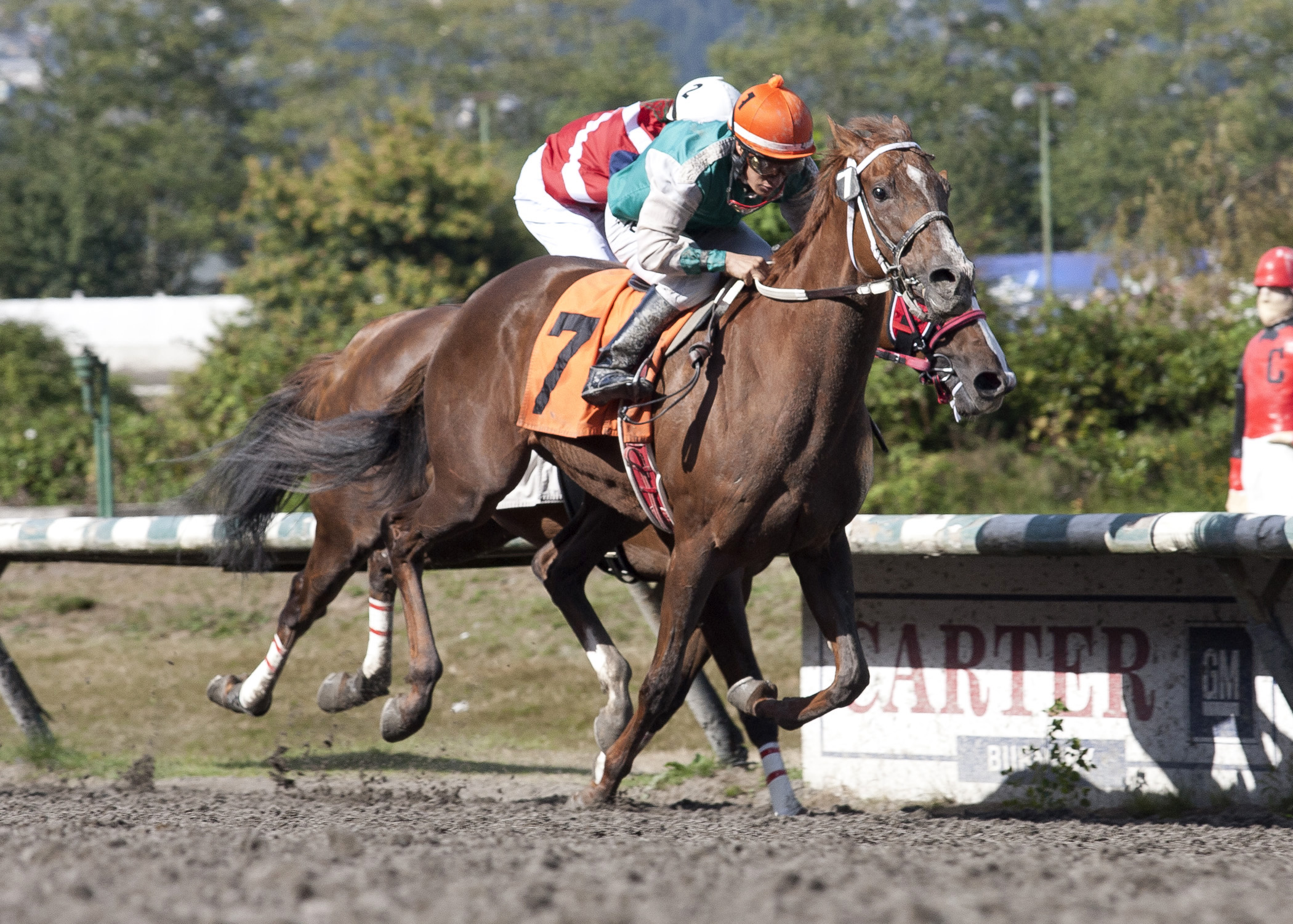 Touching Promise wins the Delta Colleen Stakes