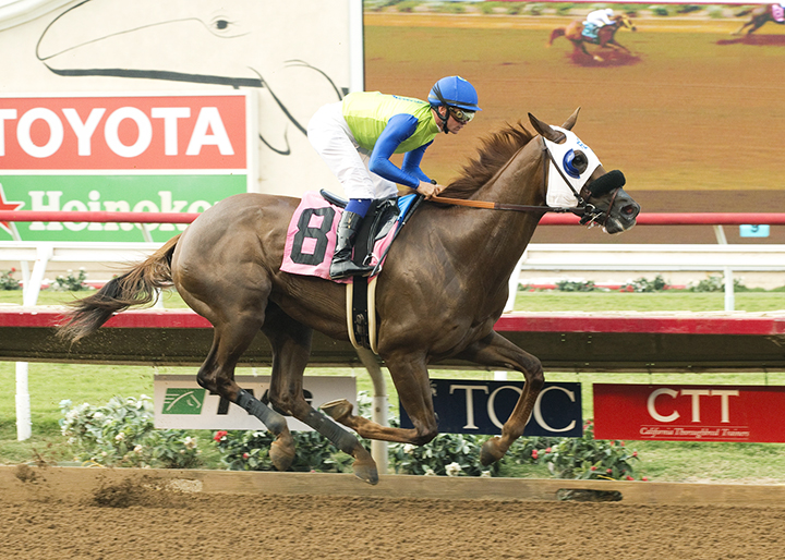 Touching Rainbows wins an Aug. 10, 2017 allowance