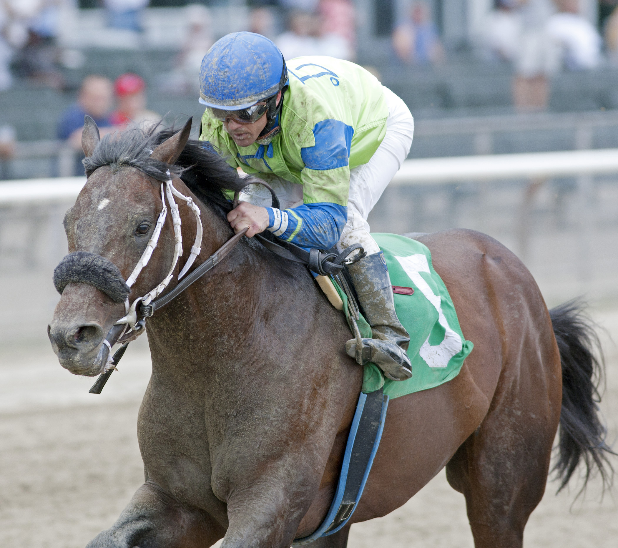 Touchofstarquality wins a maiden race in 2013
