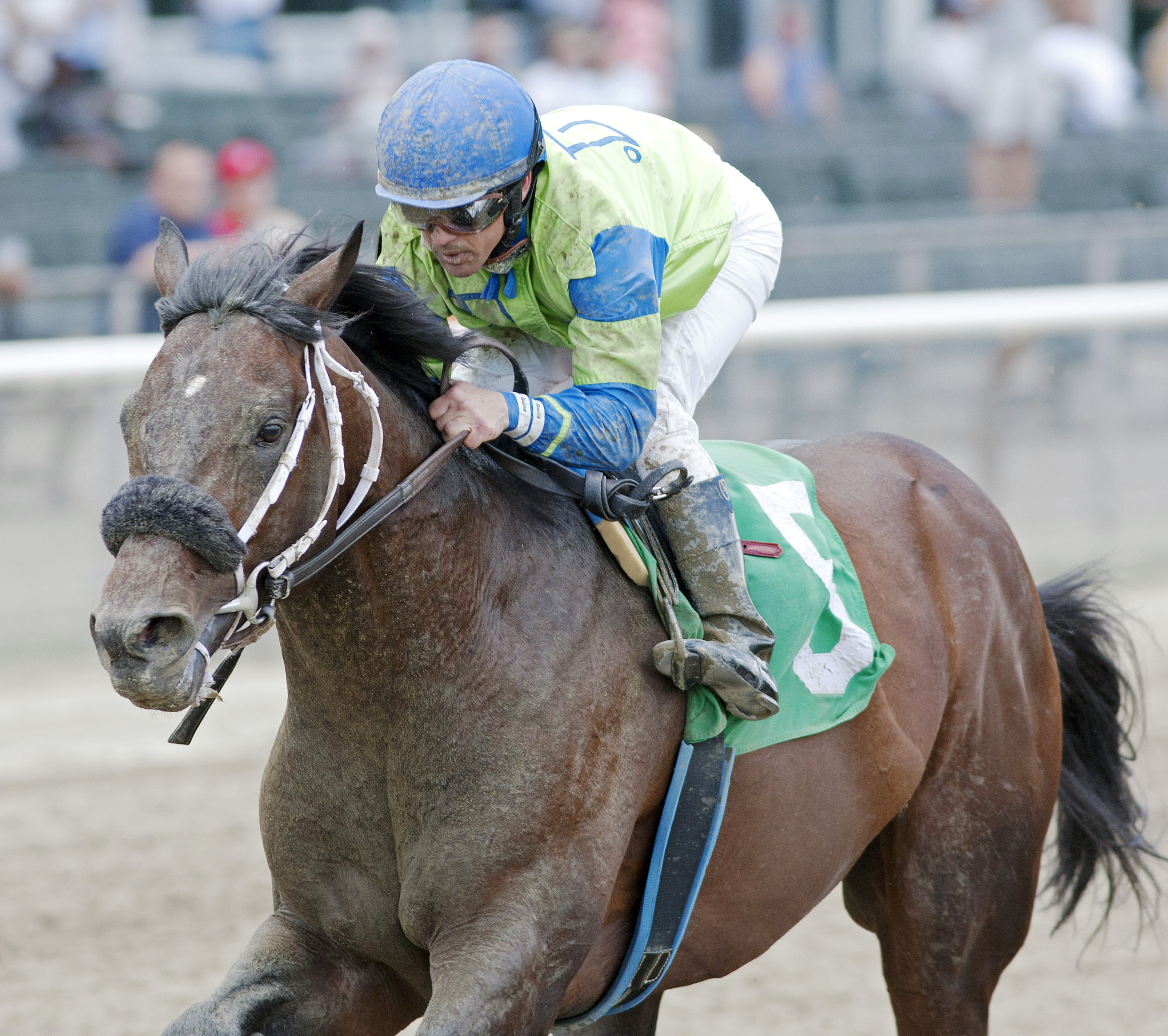 Touchofstarquality wins a 2013 maiden race