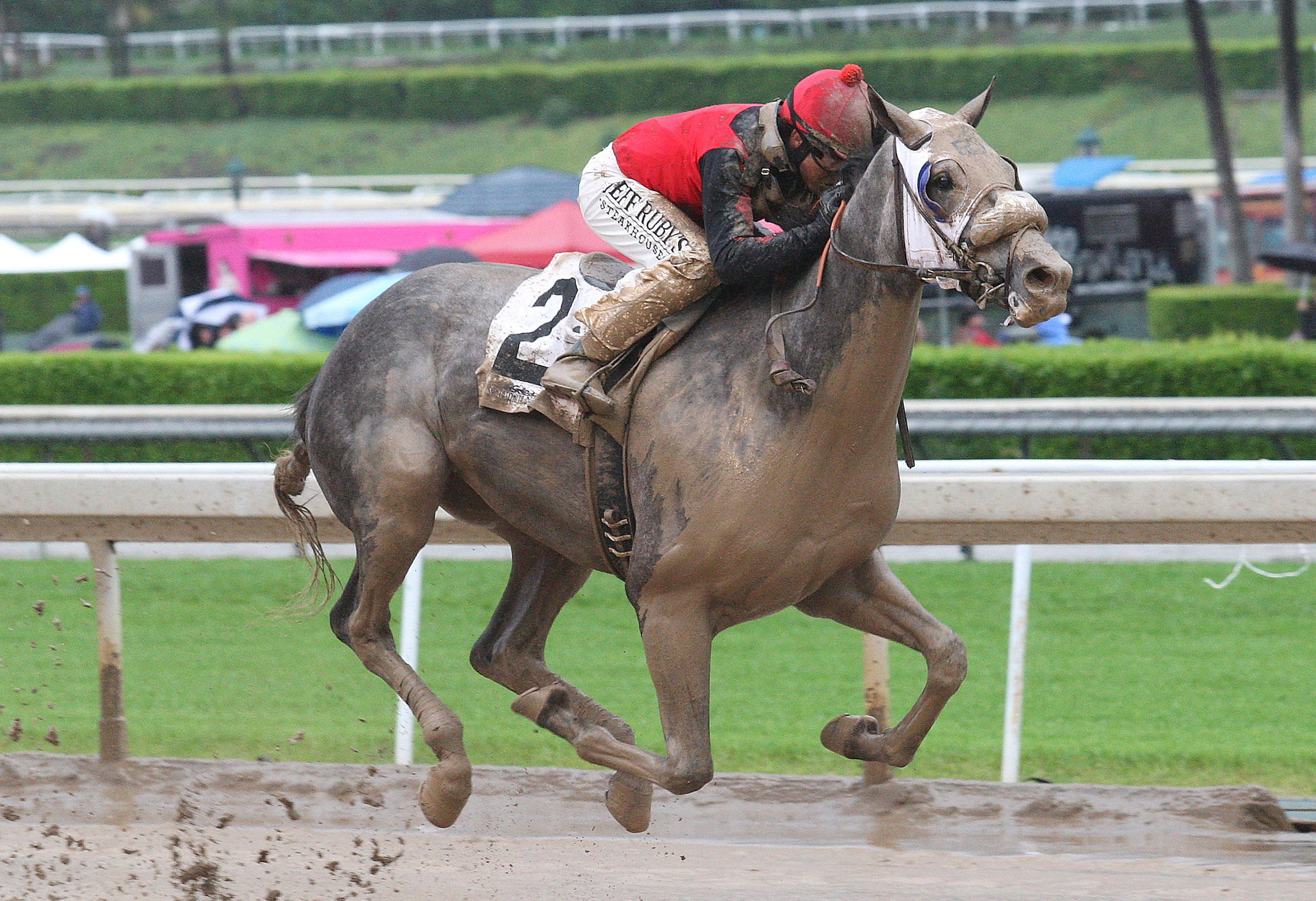 Tough It Out wins the Echo Eddie