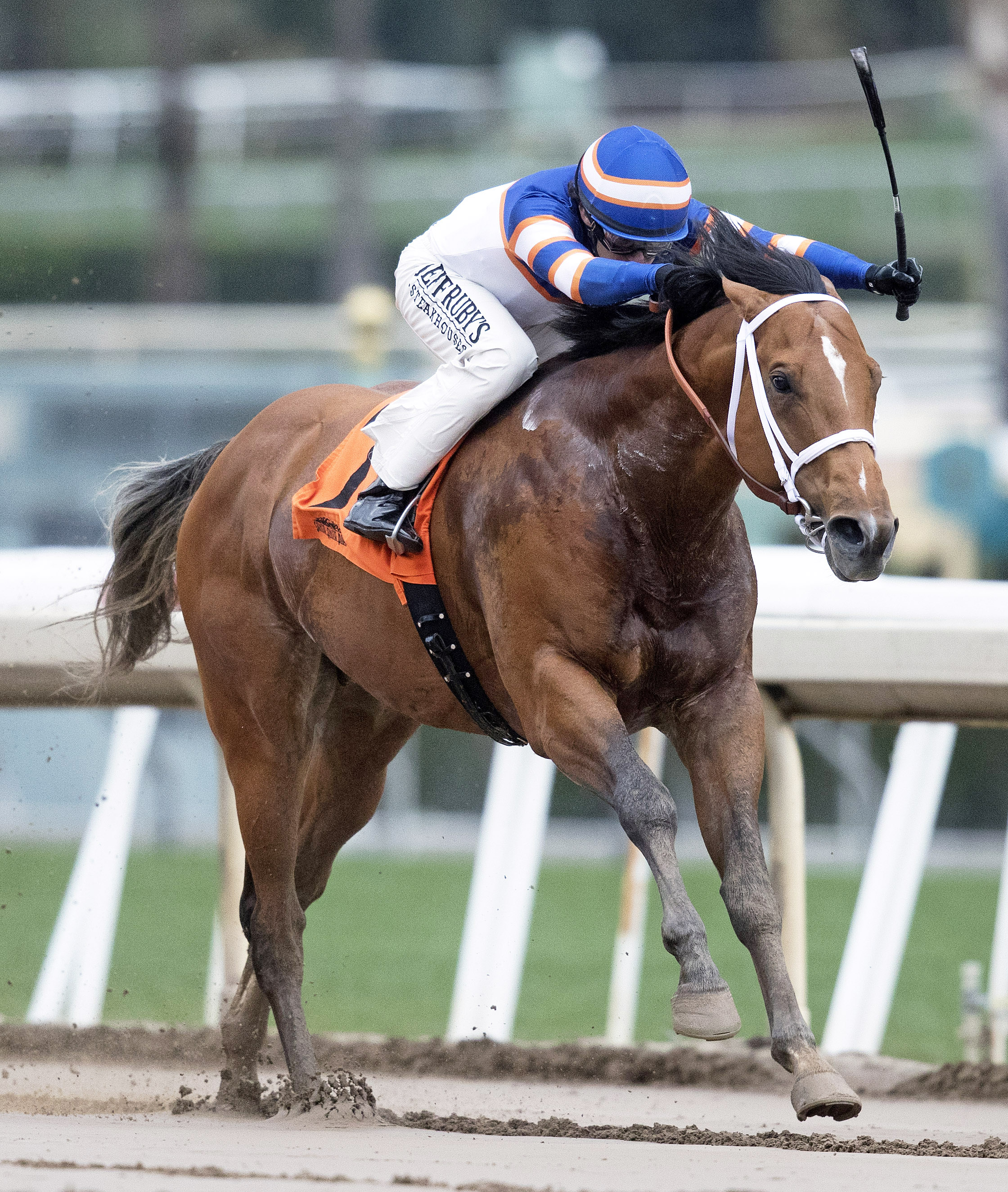 Tough Sunday wins the Sensational Star