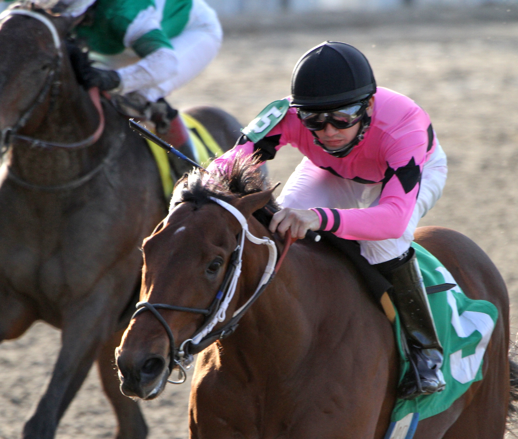 Tour Guide, Sugar Bowl Stakes