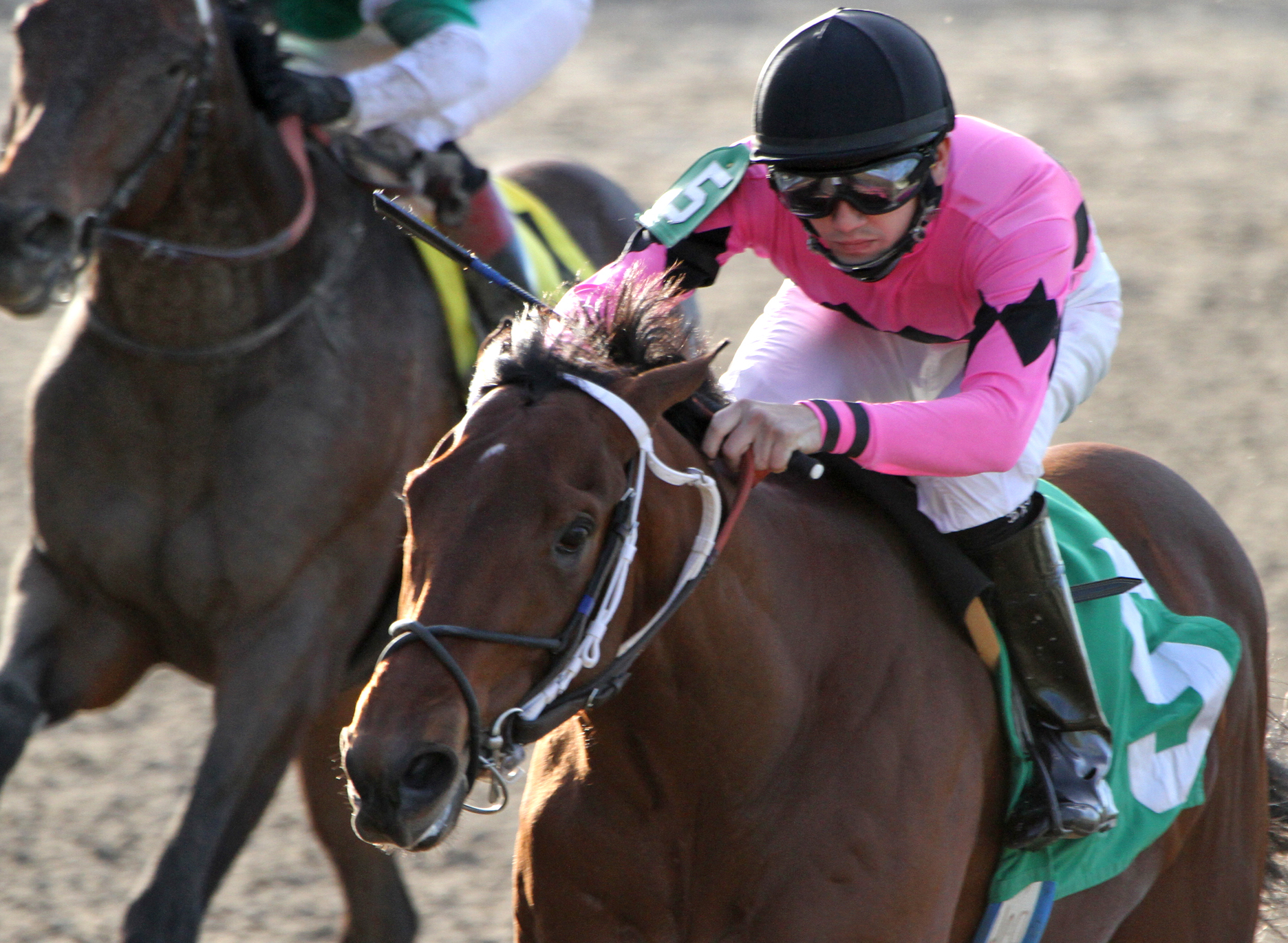 Fair Grounds notes: Lecomte field shaping up