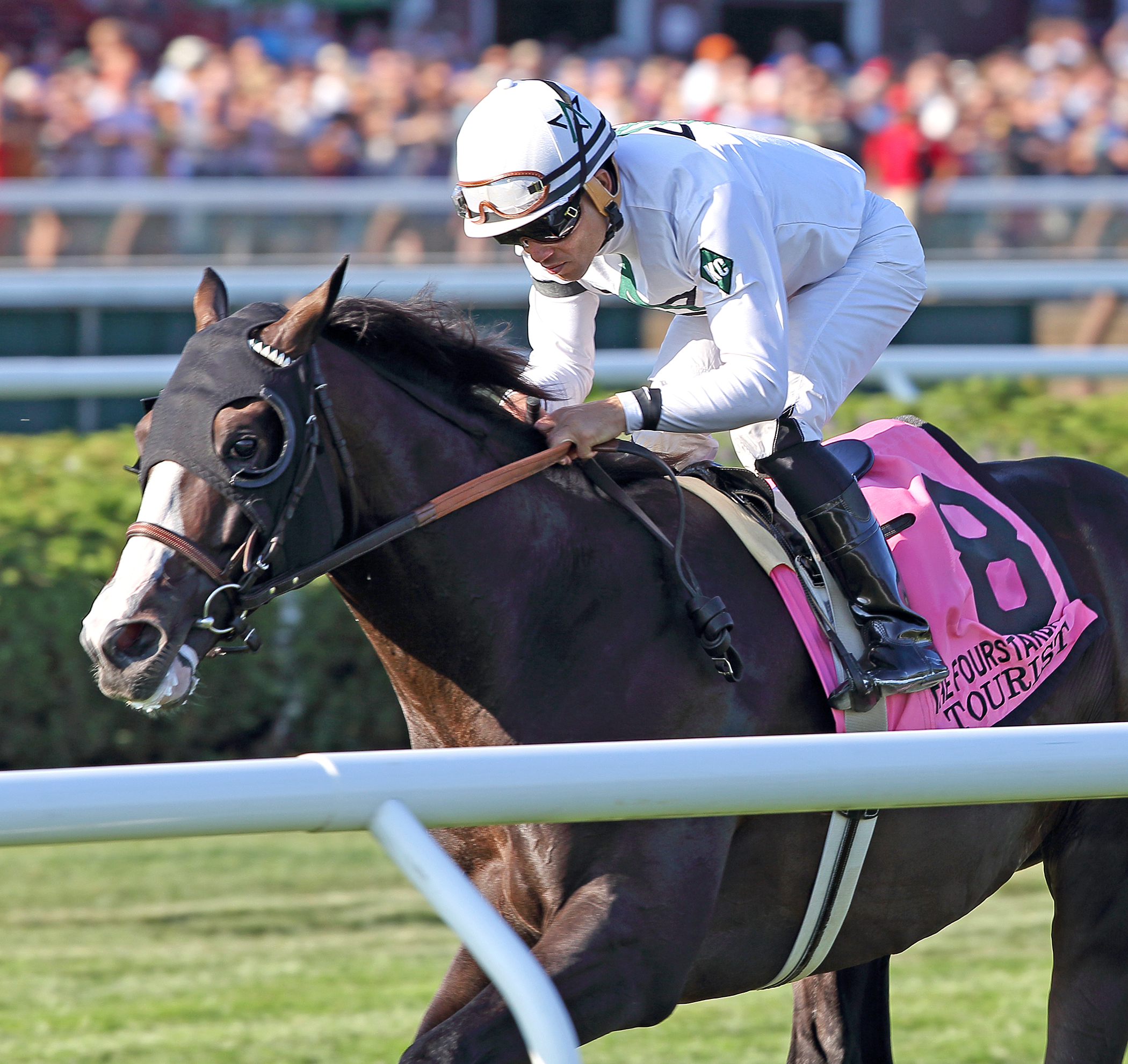 Tourist wins the Fourstardave