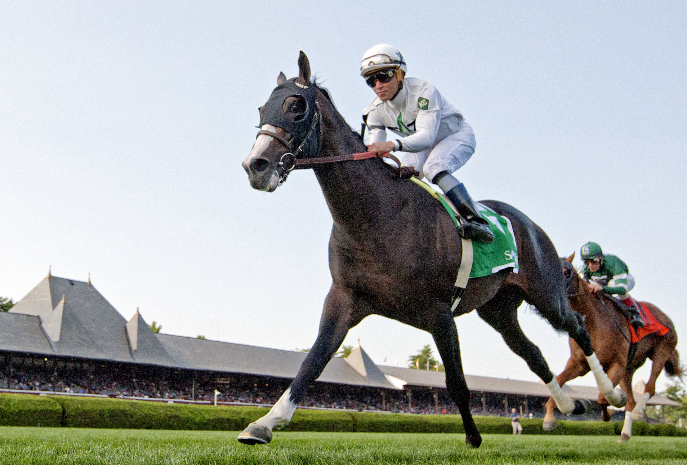 Tourist wins the Sir Cat Stakes