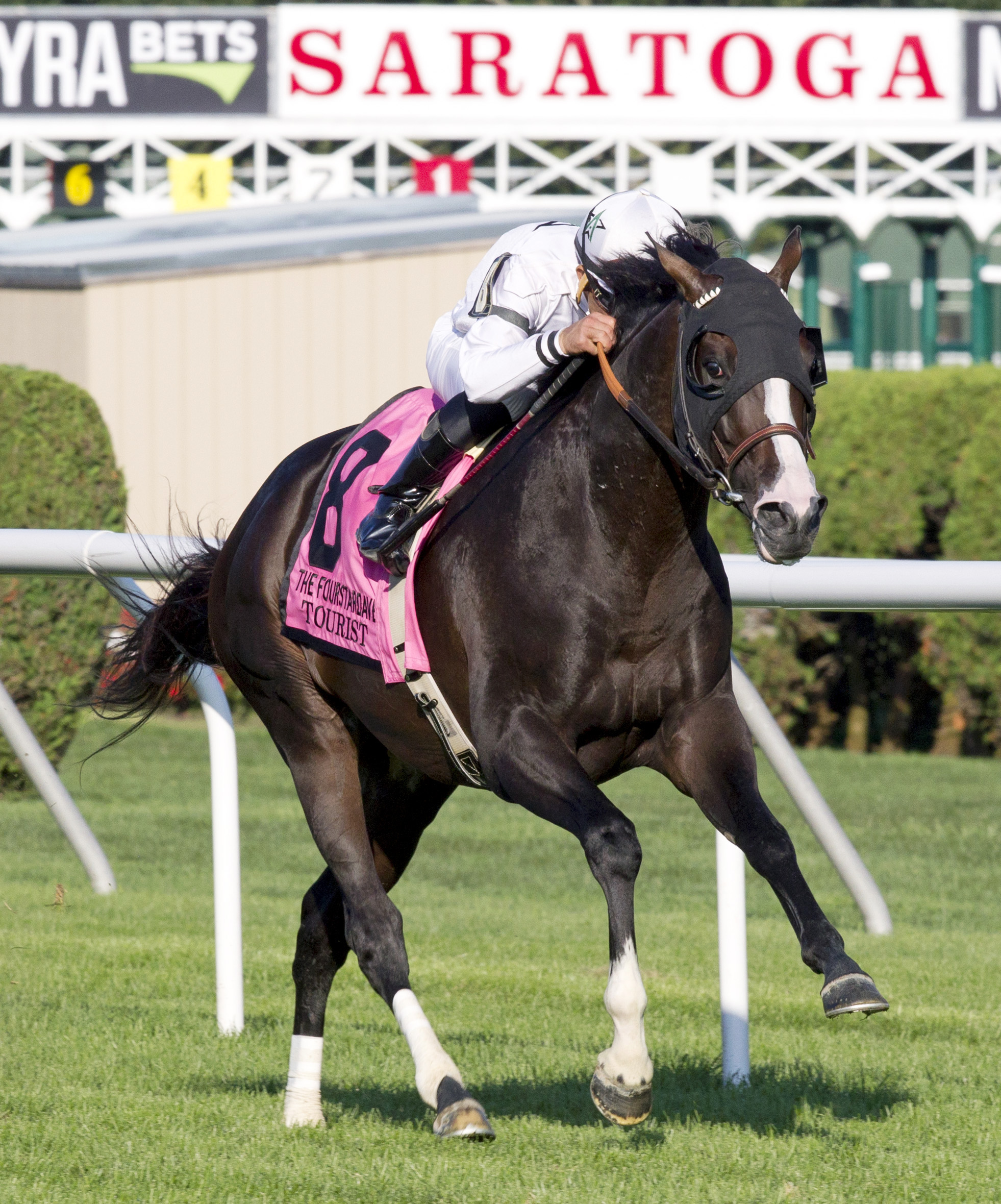 Tourist wins the Fourstardave