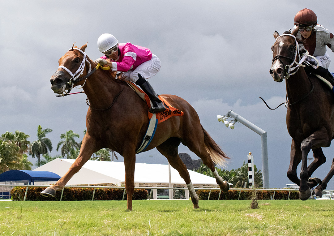 Tournesol wins the 2020 Portofino Bay Stakes at Gulfstream Park