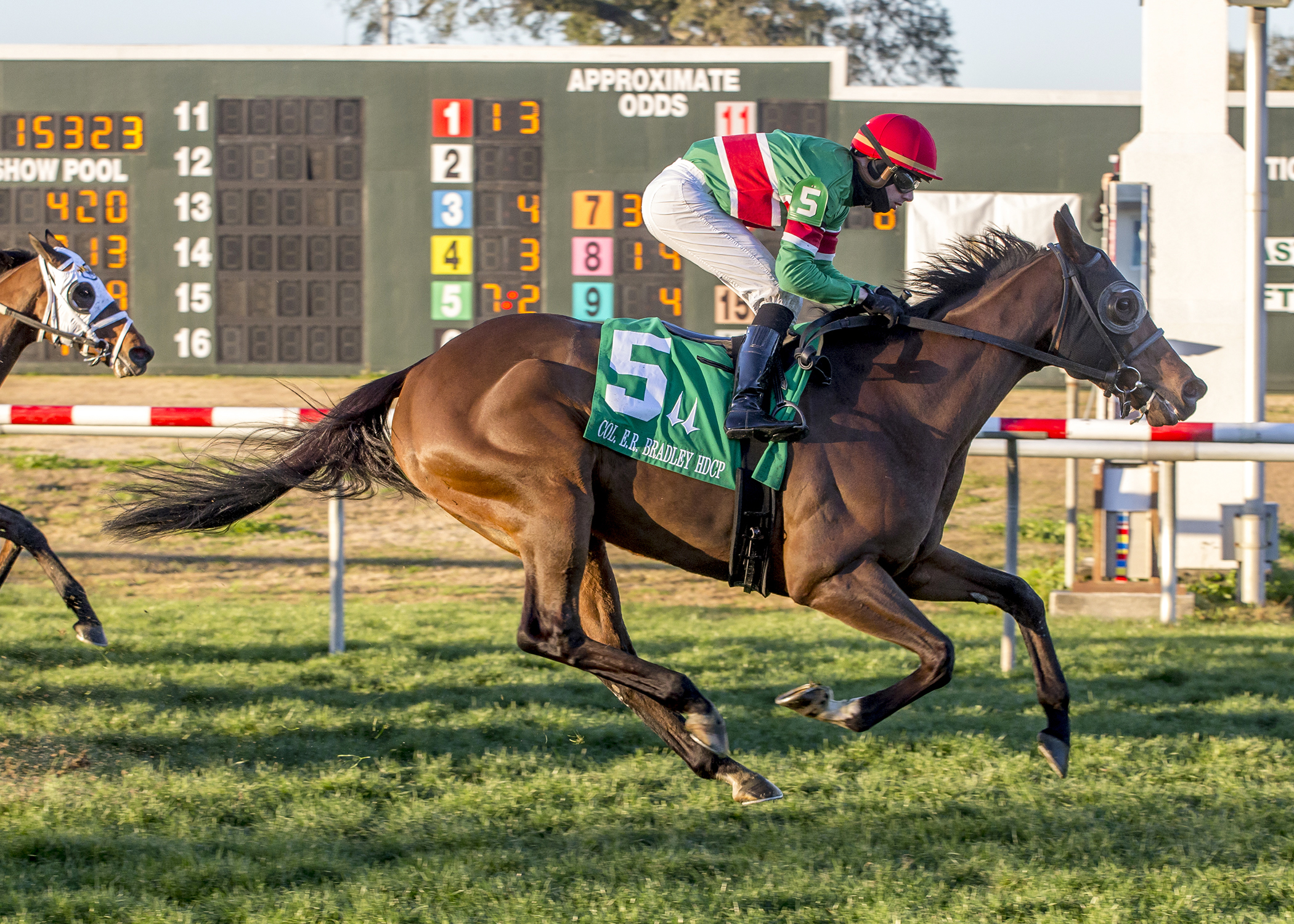Tower of Texas wins the 2018 Col. E. R. Bradley Handicap