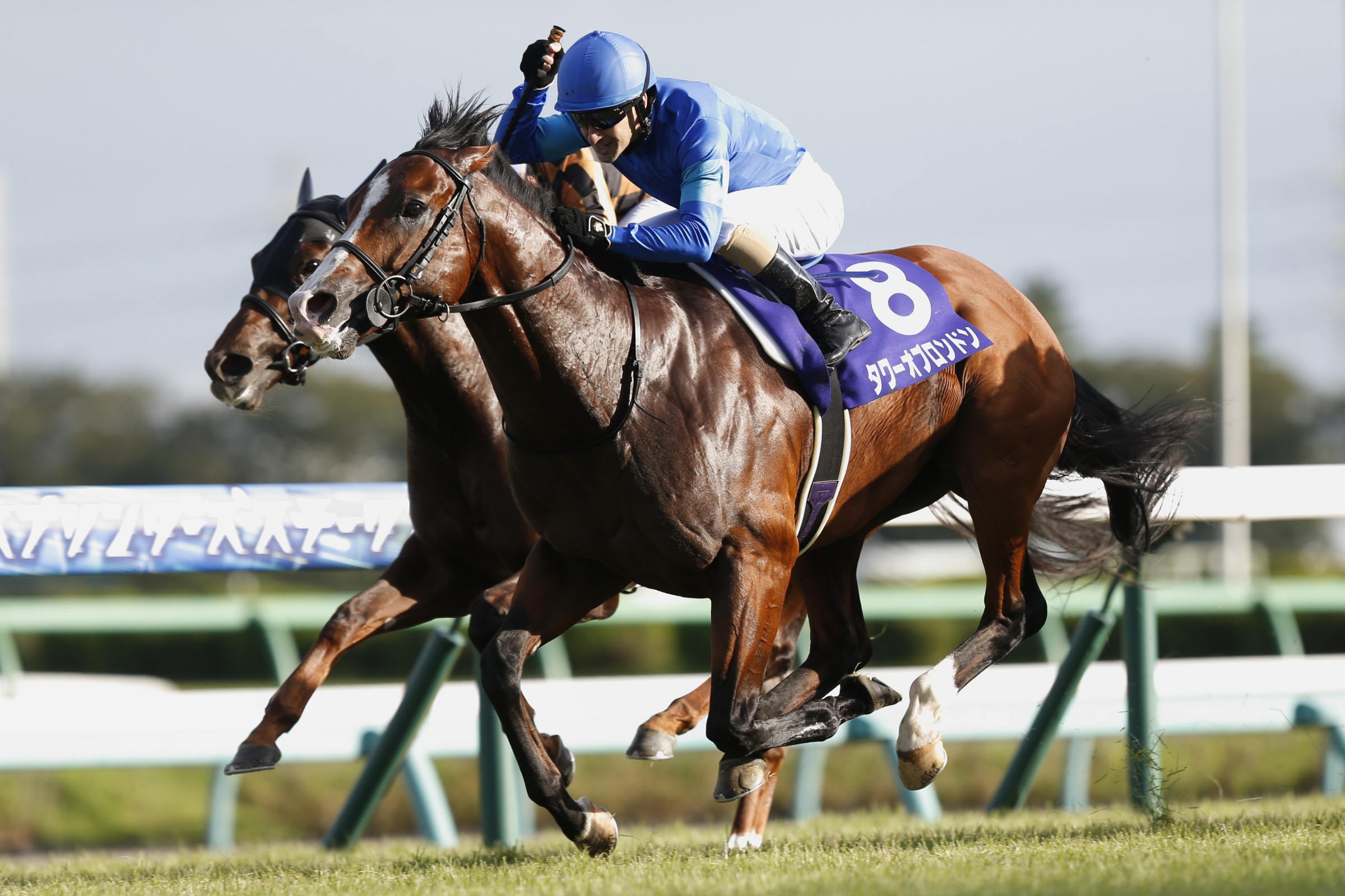 Tower of London wins the 2019 Sprinters Stakes