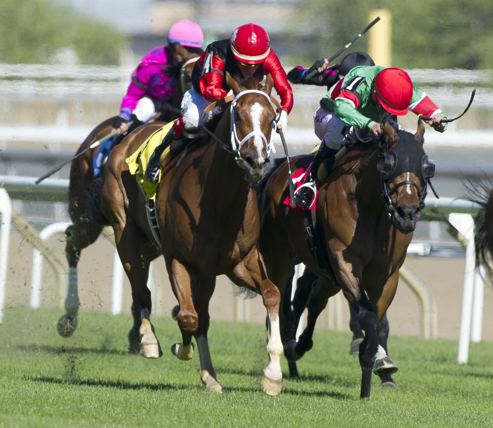 Tower of Texas wins the 2017 Connaught Cup