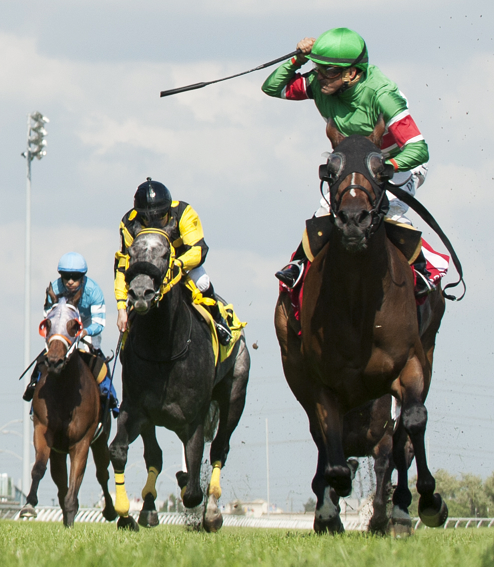 Tower of Texas wins the Kind Edward Stakes